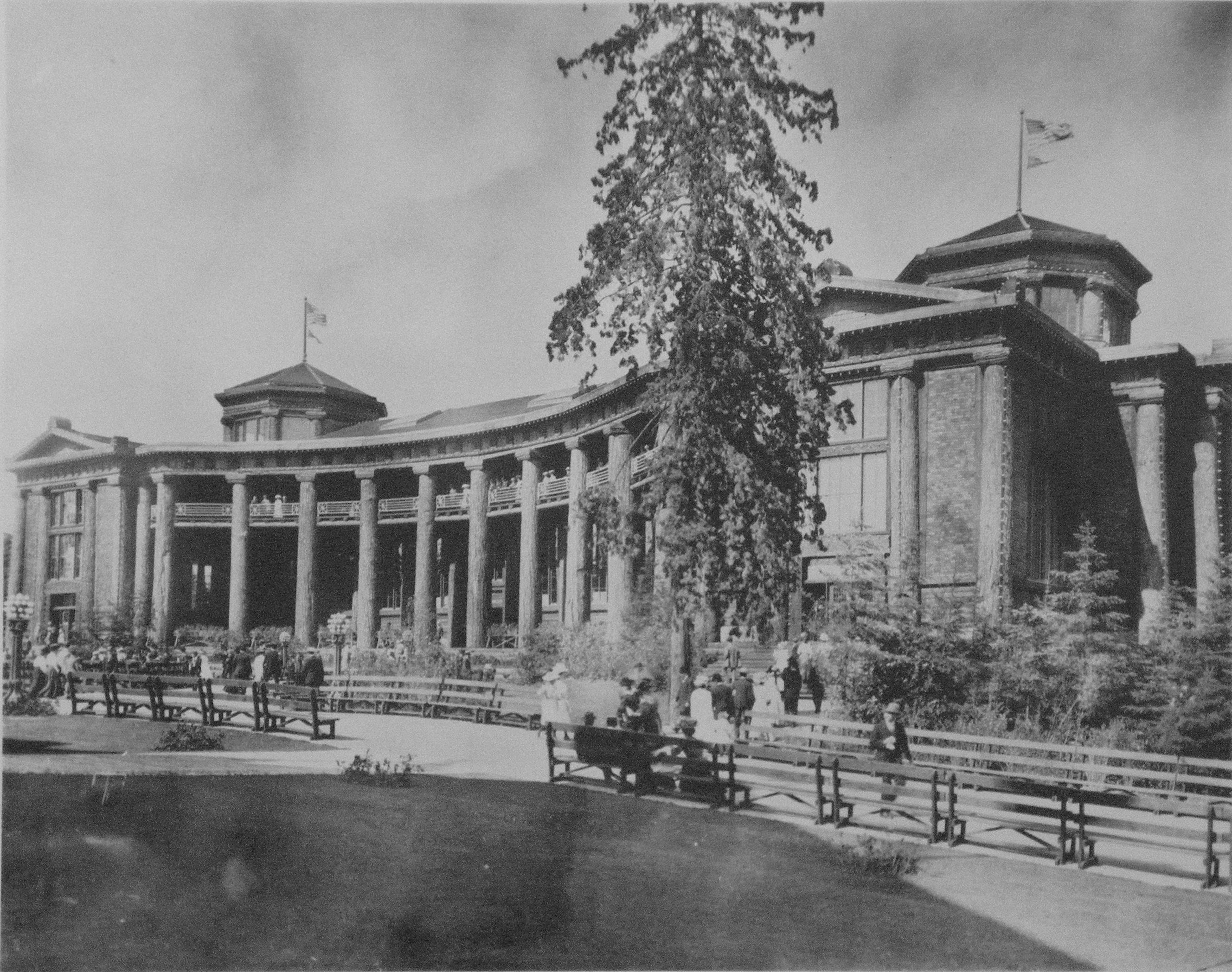 "The Forestry Building of the A. Y. P. Exposition". That's the Alaska-Yukon-Pacific Exposition on the campus of the University of Washington in Seattle, Washington in 1909.