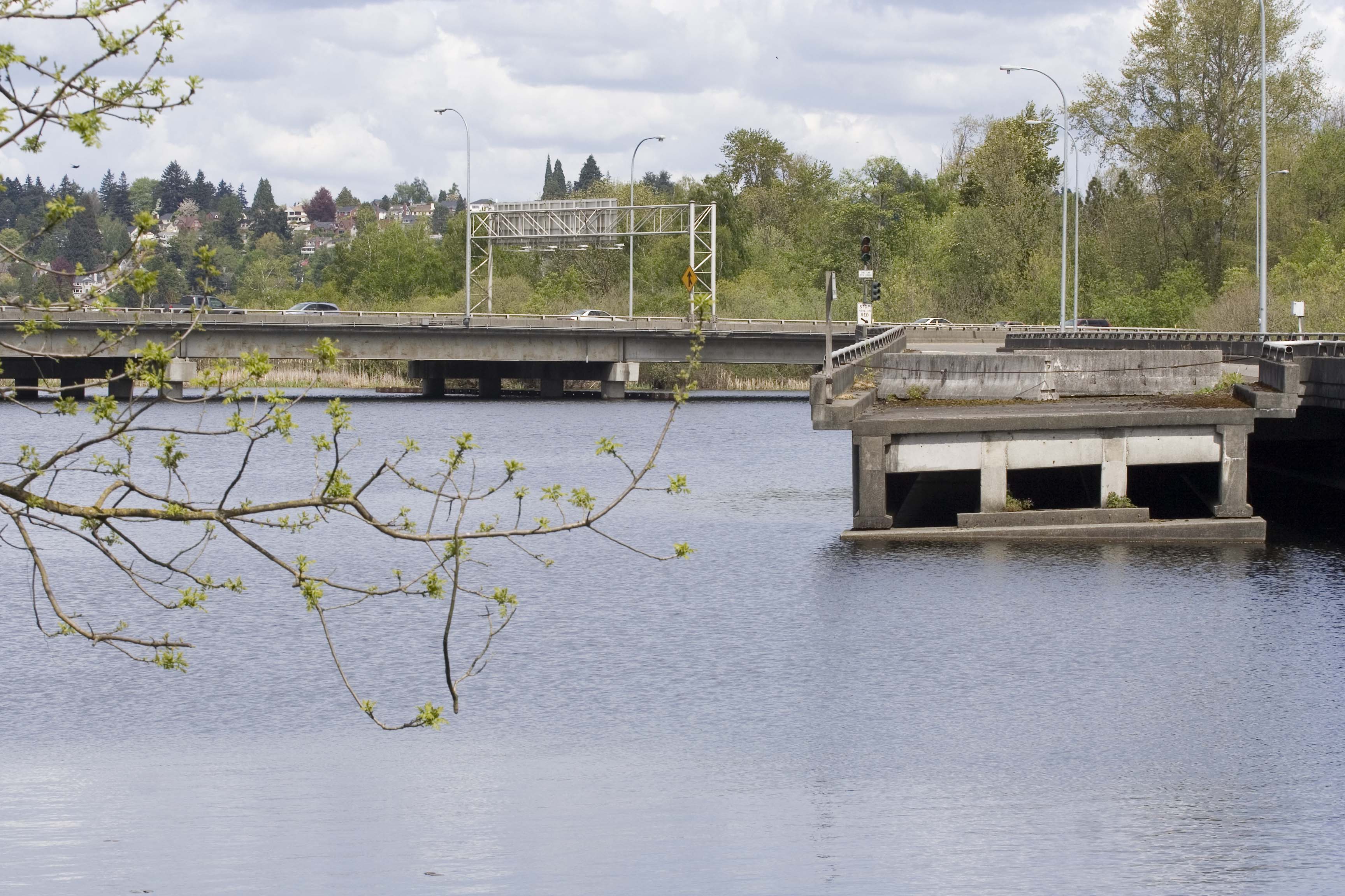 Ghost ramp of State Route 520 in Seattle, Washington. This is in the Washington Park Arboretum. The ramp was intended to connect to the R.H. Thomson Freeway, which was never built. The houses in the distance are in Seattle's Laurelhurst neighborhood.