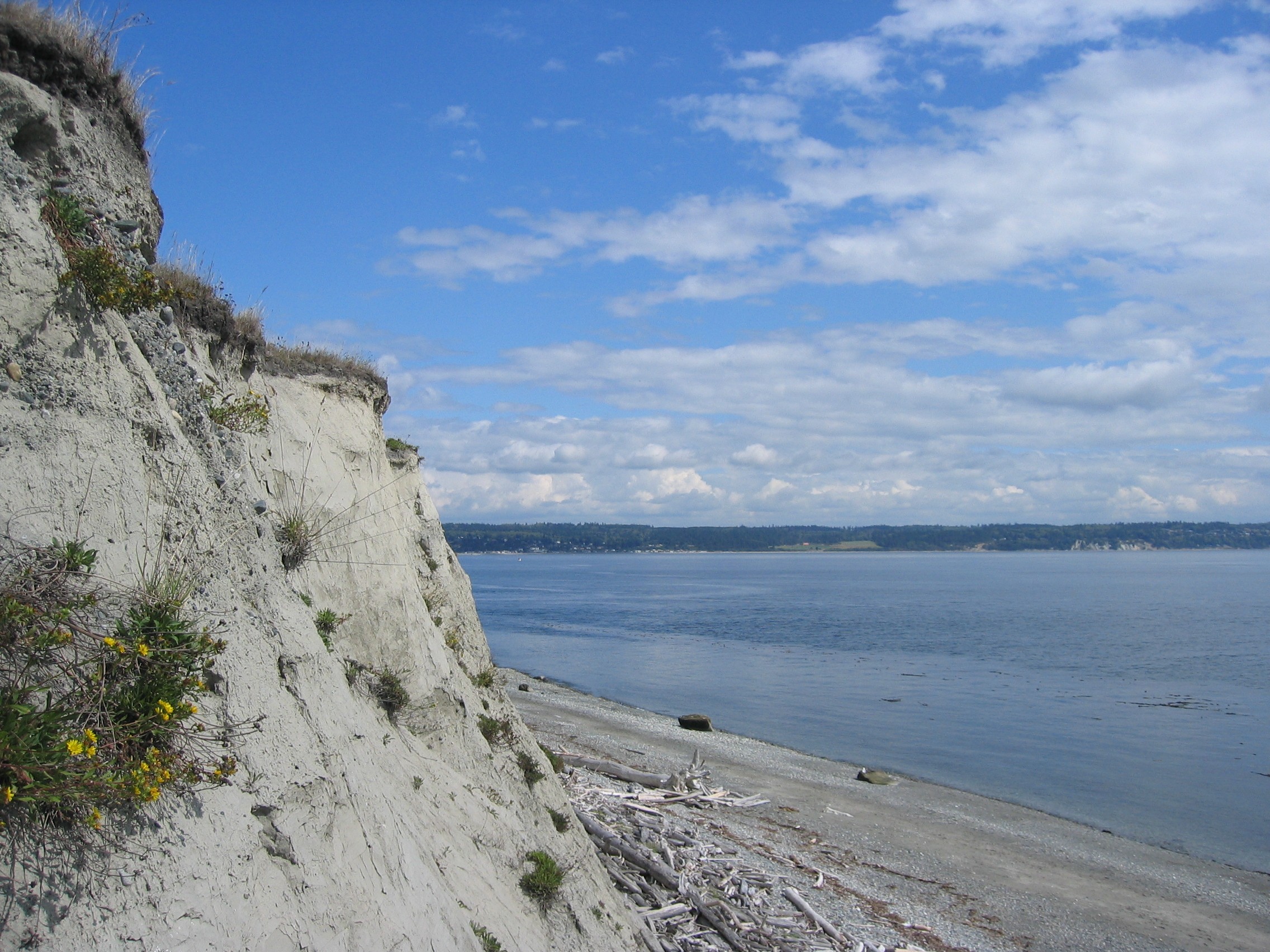 Cliff near Fort Casey on Whidbey Island, Washinton, USA.