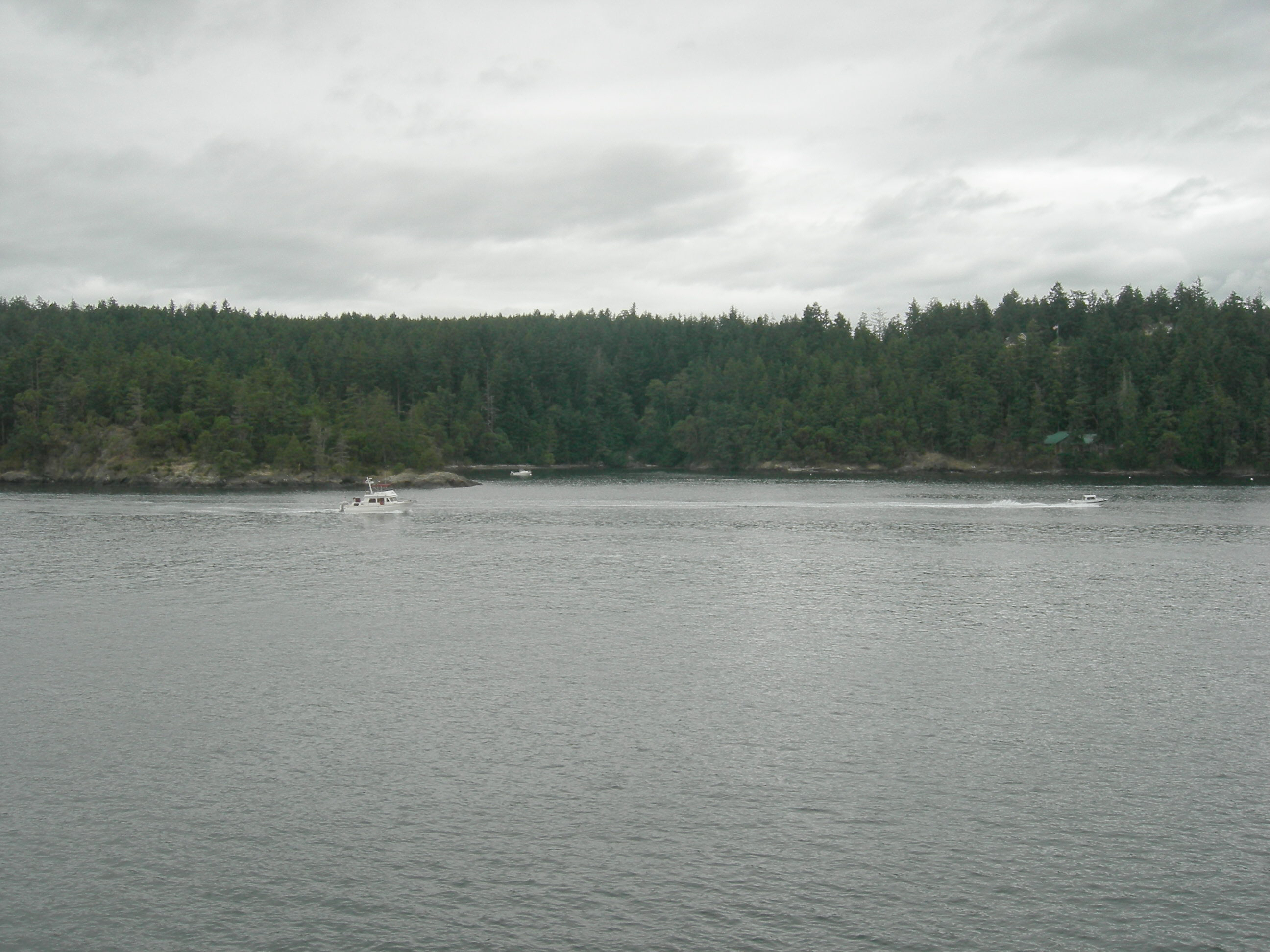Pleasure boat passes a small island off the south coast of Orcas Island. Seen from Washington State Ferry proceeding from Shaw Island to Lopez Island.