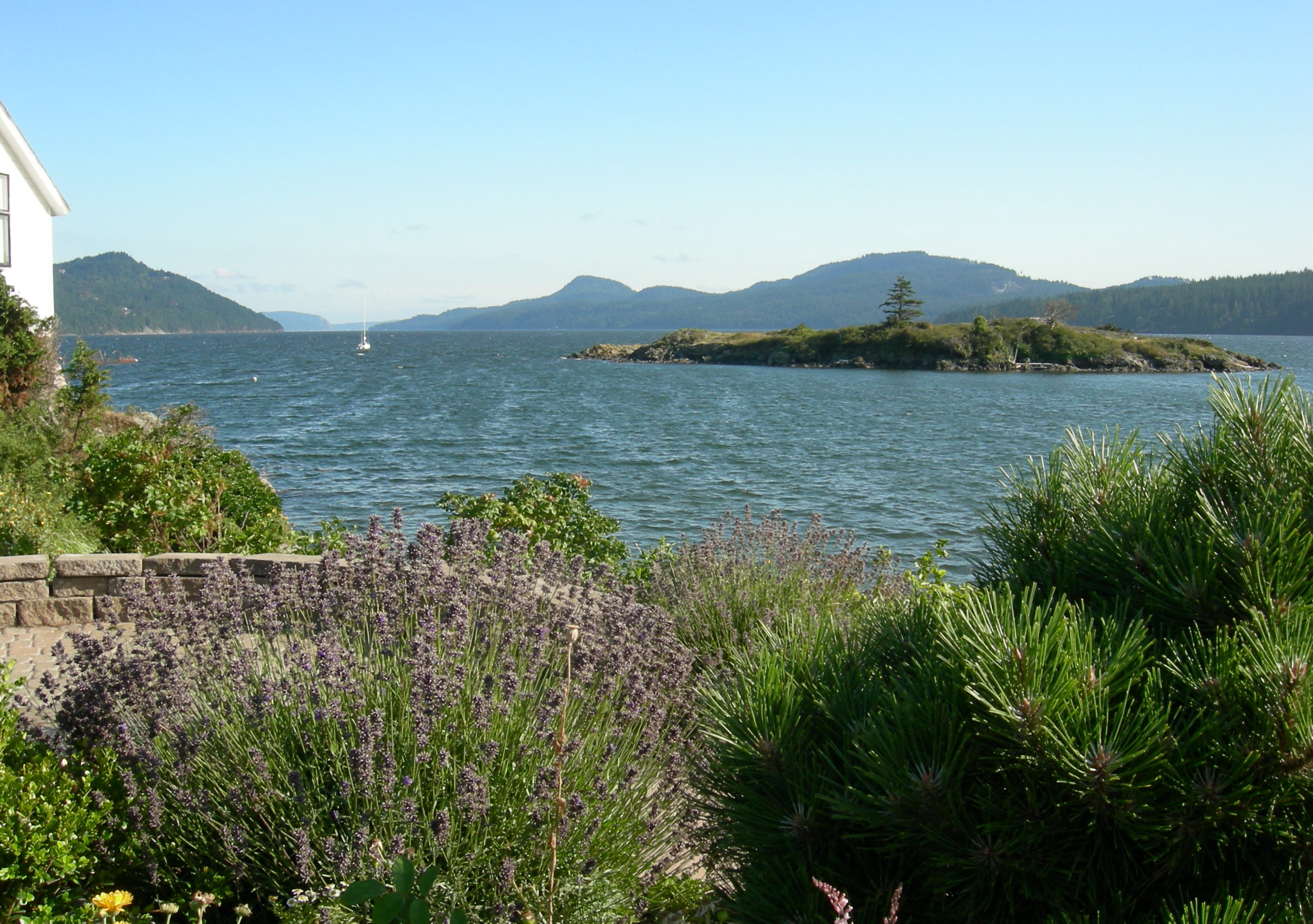 Harbor, Eastsound, Washington, USA.