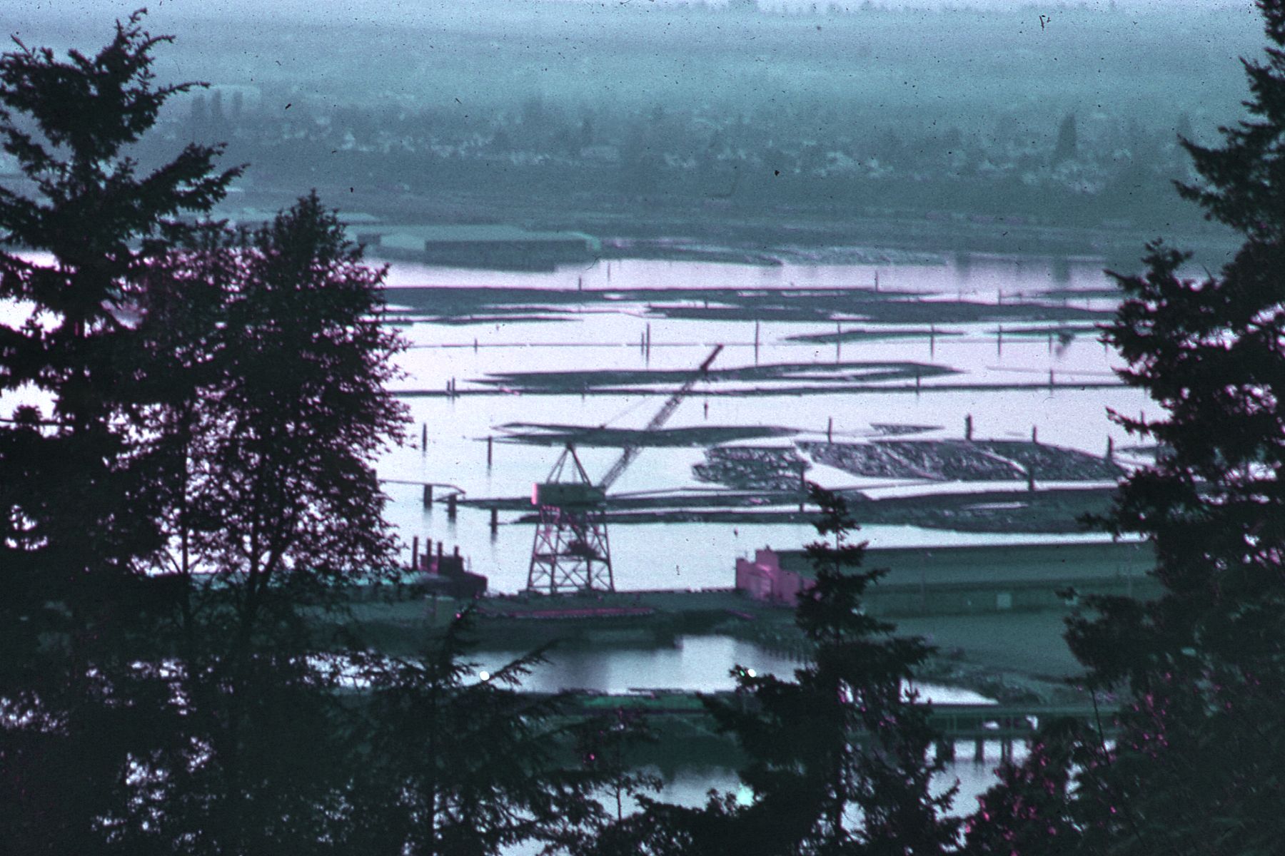 View of Bellingham harbor filled with the logs to be processed by the Georgia-Pacific company pulp mill.
Other information

The Bellingham Bay no longer looks like this.