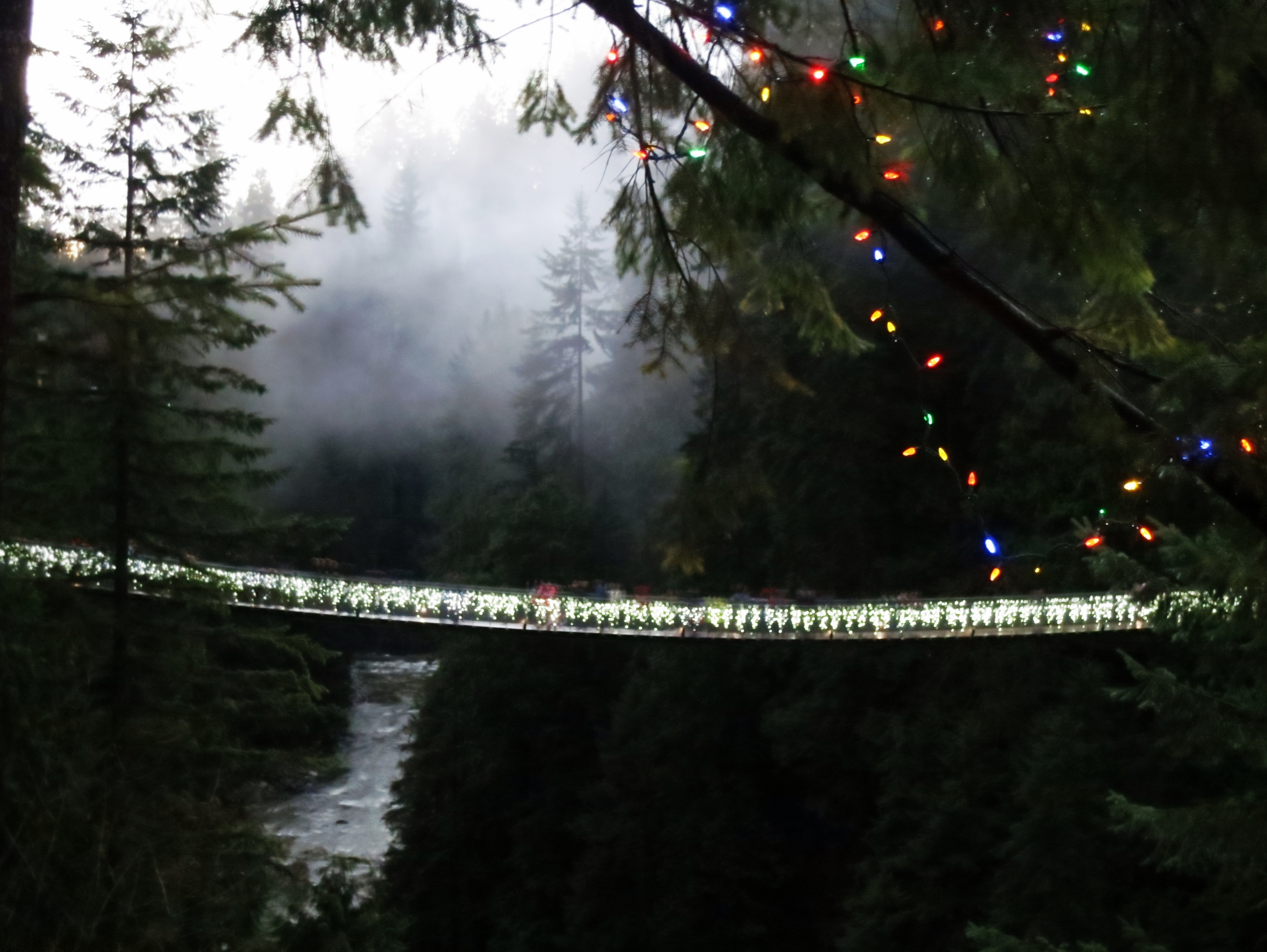 Canyon Lights at Capilano Suspension Bridge