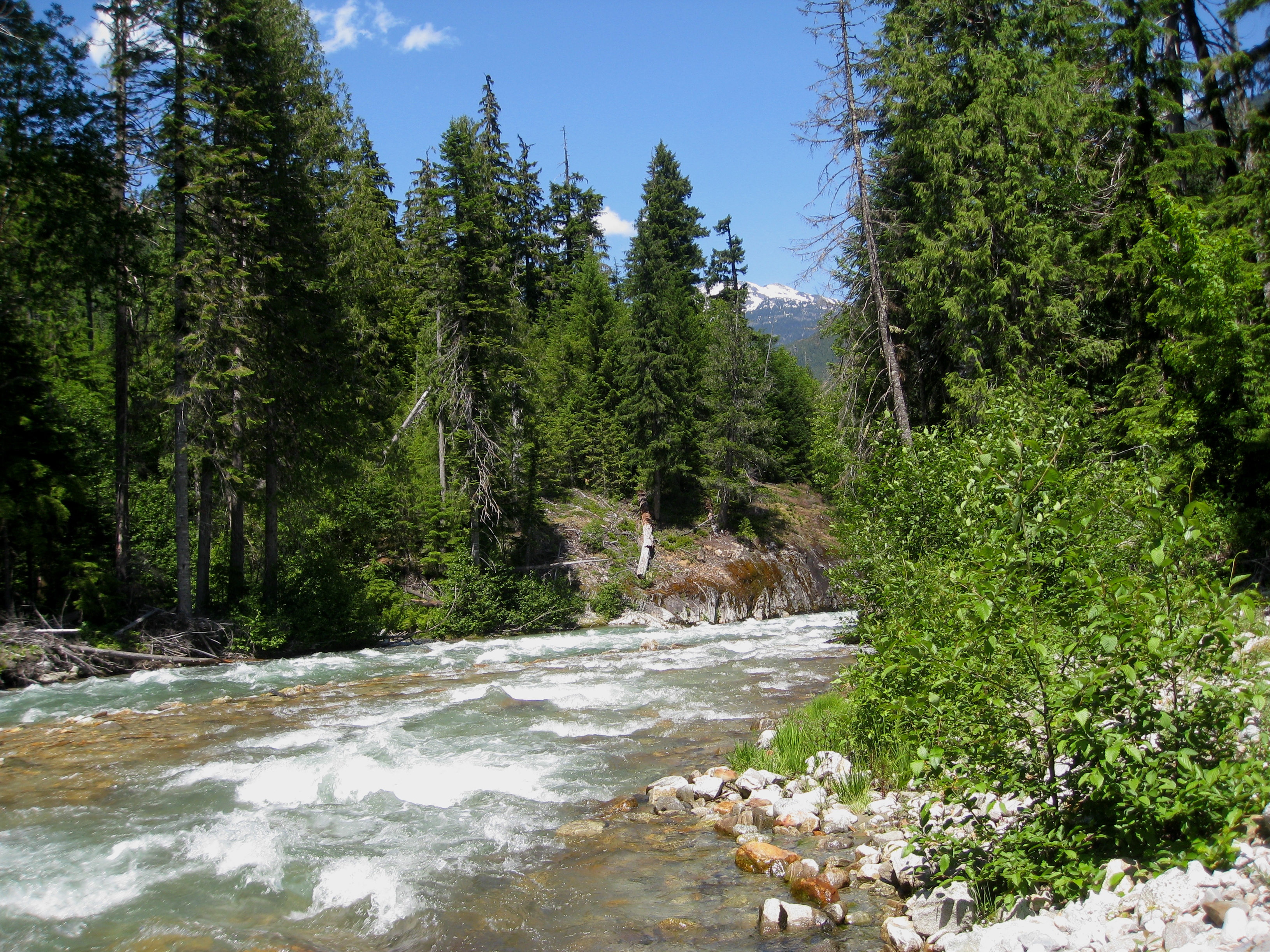 This creek seems more like a river to me!
Thunder Creek Trail
North Cascades National Park
Skagit County, Washington, USA

Elevation about 600 meter (1970 feet)