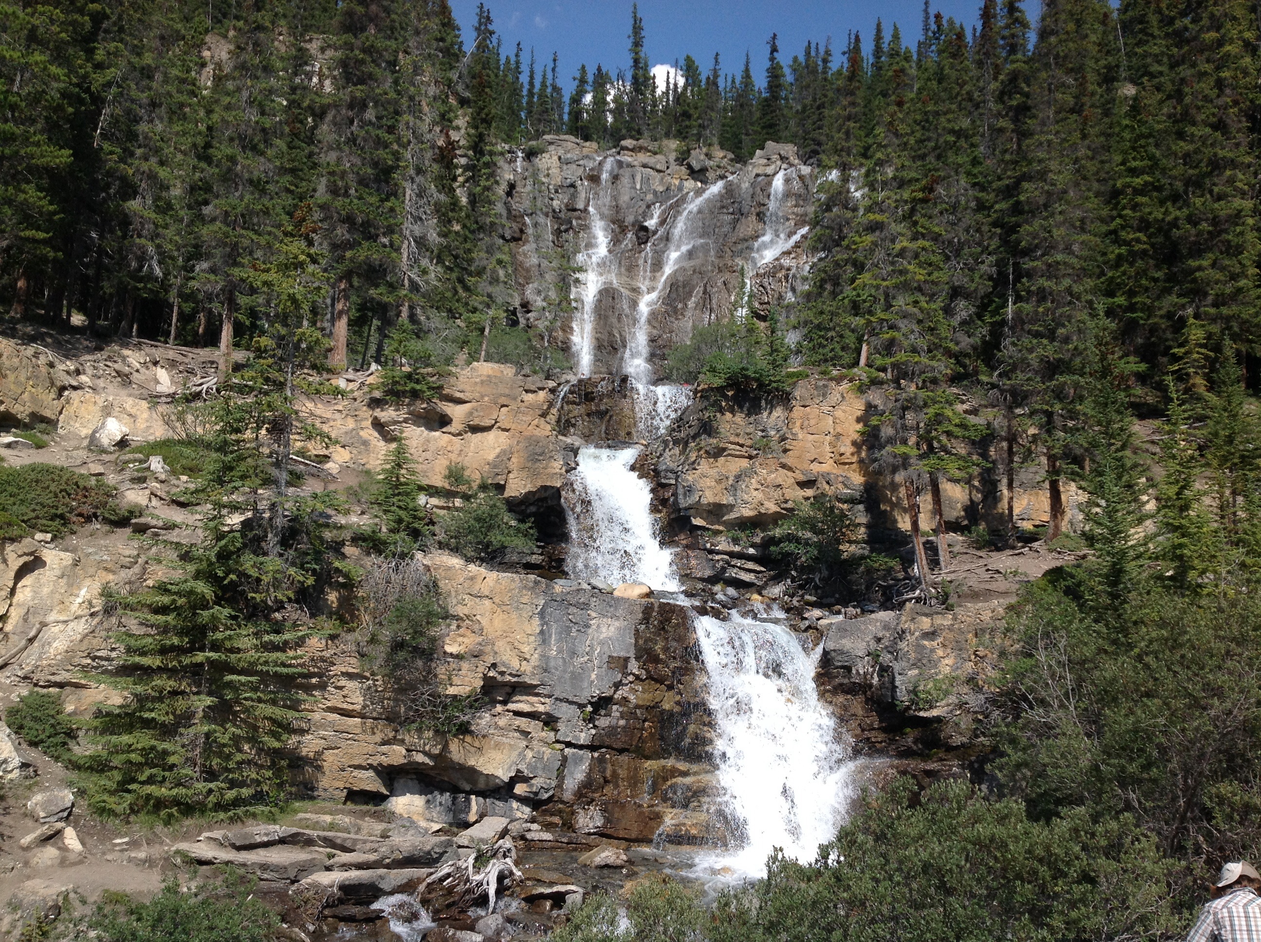 Tangle Creek Falls, Jasper National Park