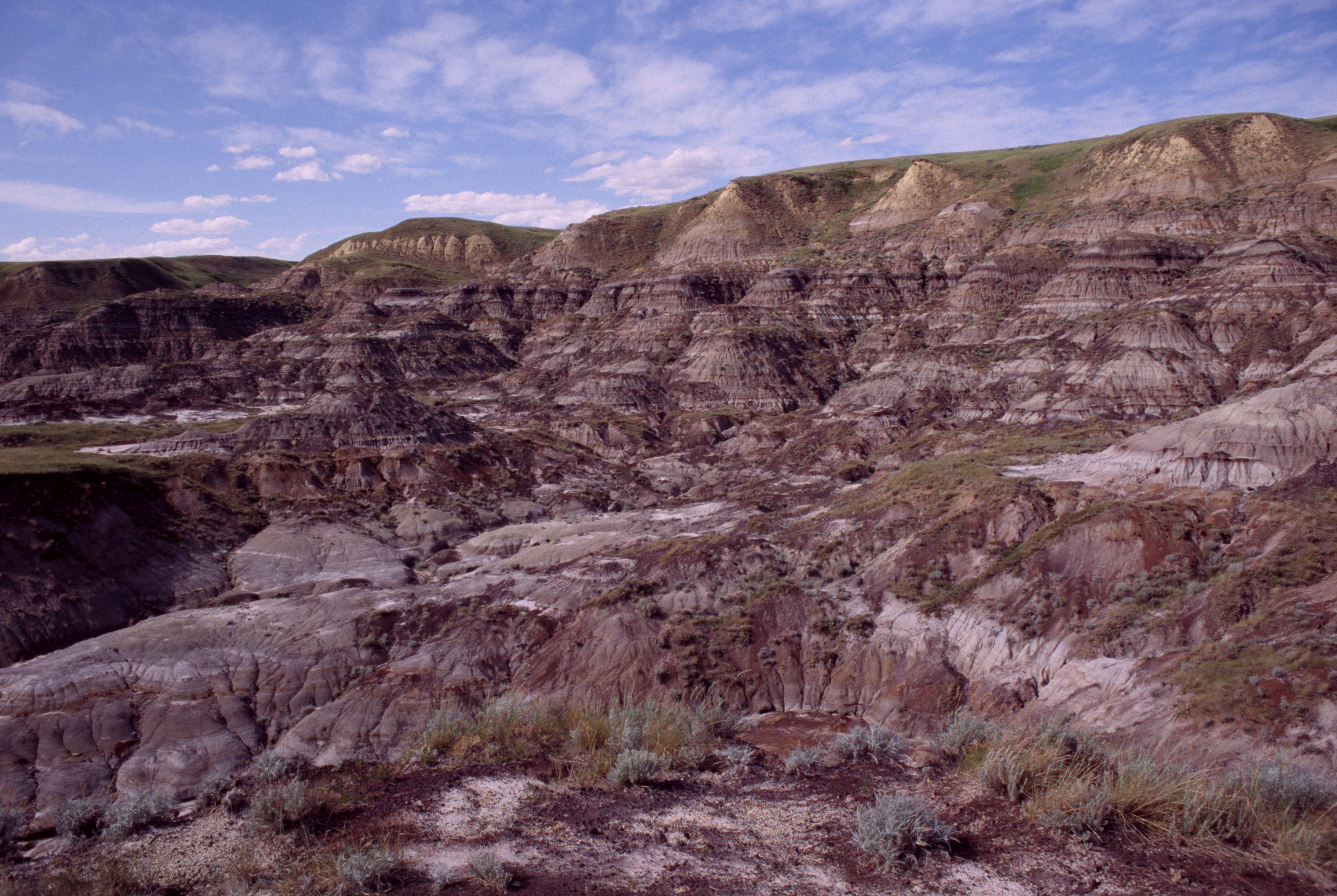 Drumheller Badlands 2006.jpg