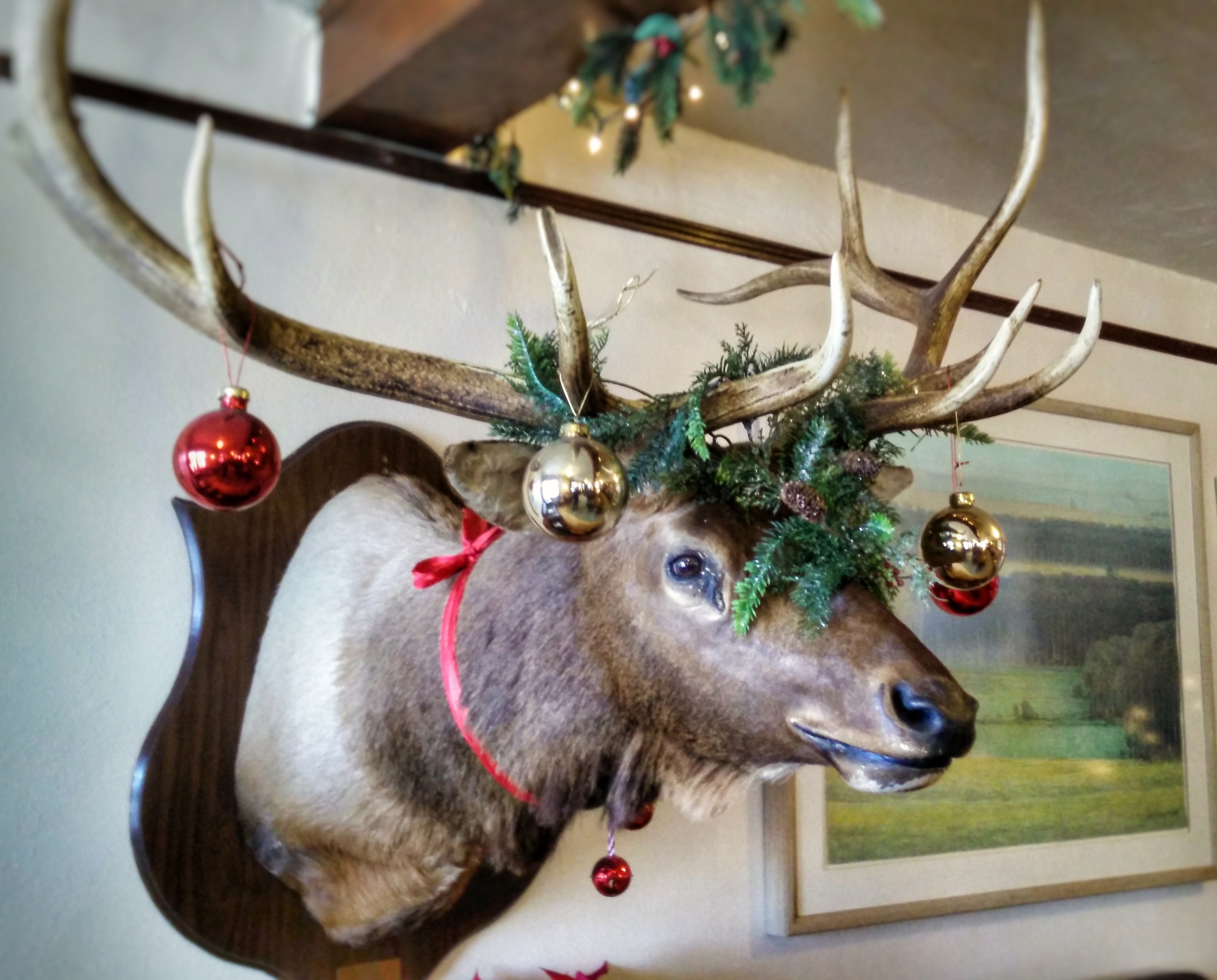 Chico Hot Springs, Montana.