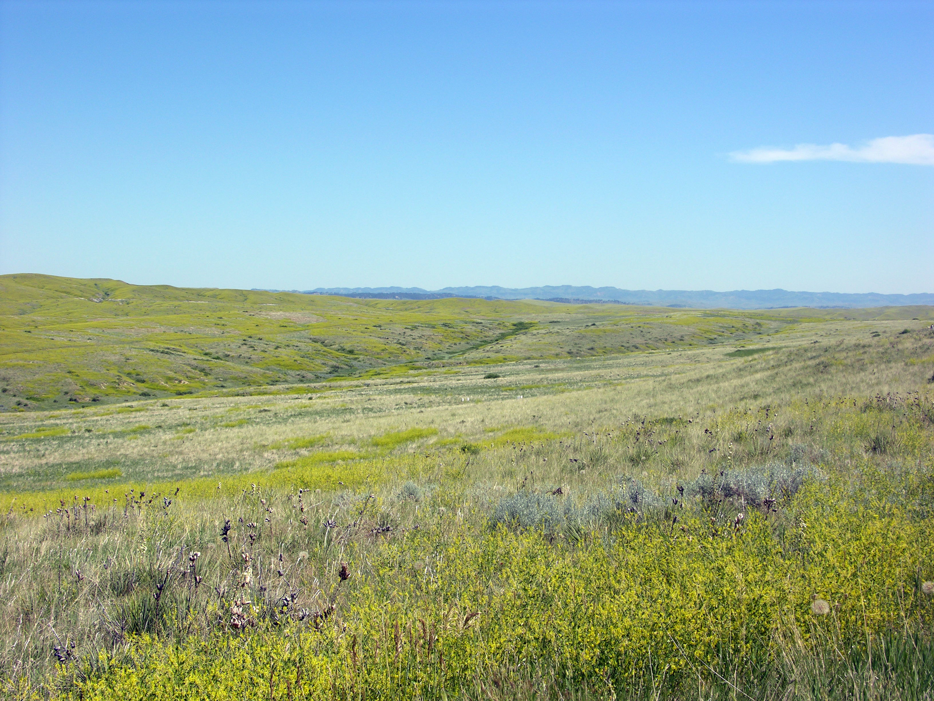 Hills north of the Little Bighorn River