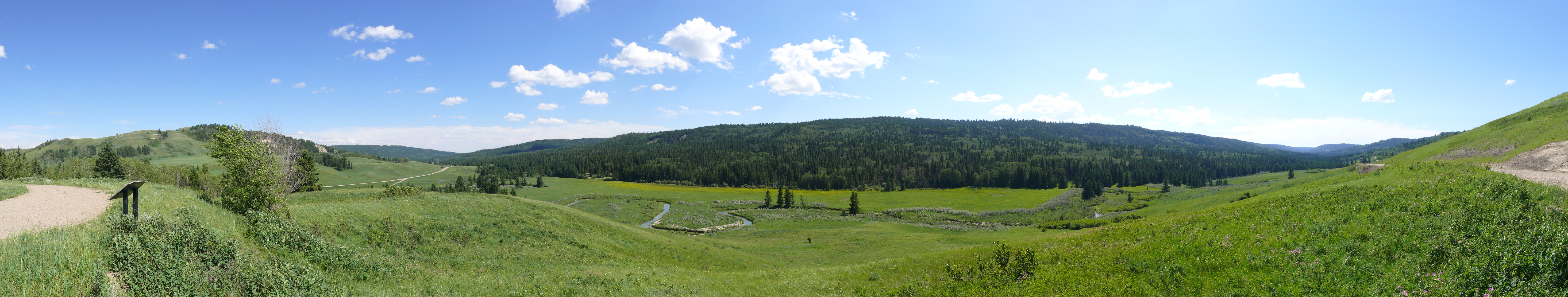 Taken at the site of the Cypress Hills massacre as outlined on the signpost visible in this photo.  Cypress Hills, Alberta, Canada.
