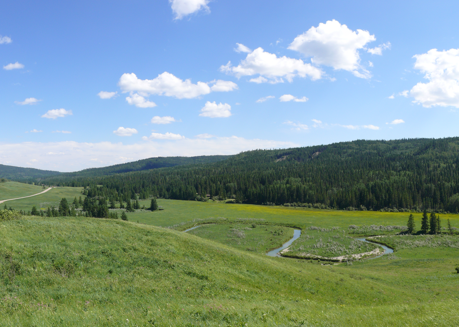 Taken at the site of the Cypress Hills Massacre.  Cypress Hills, Alberta, Canada.