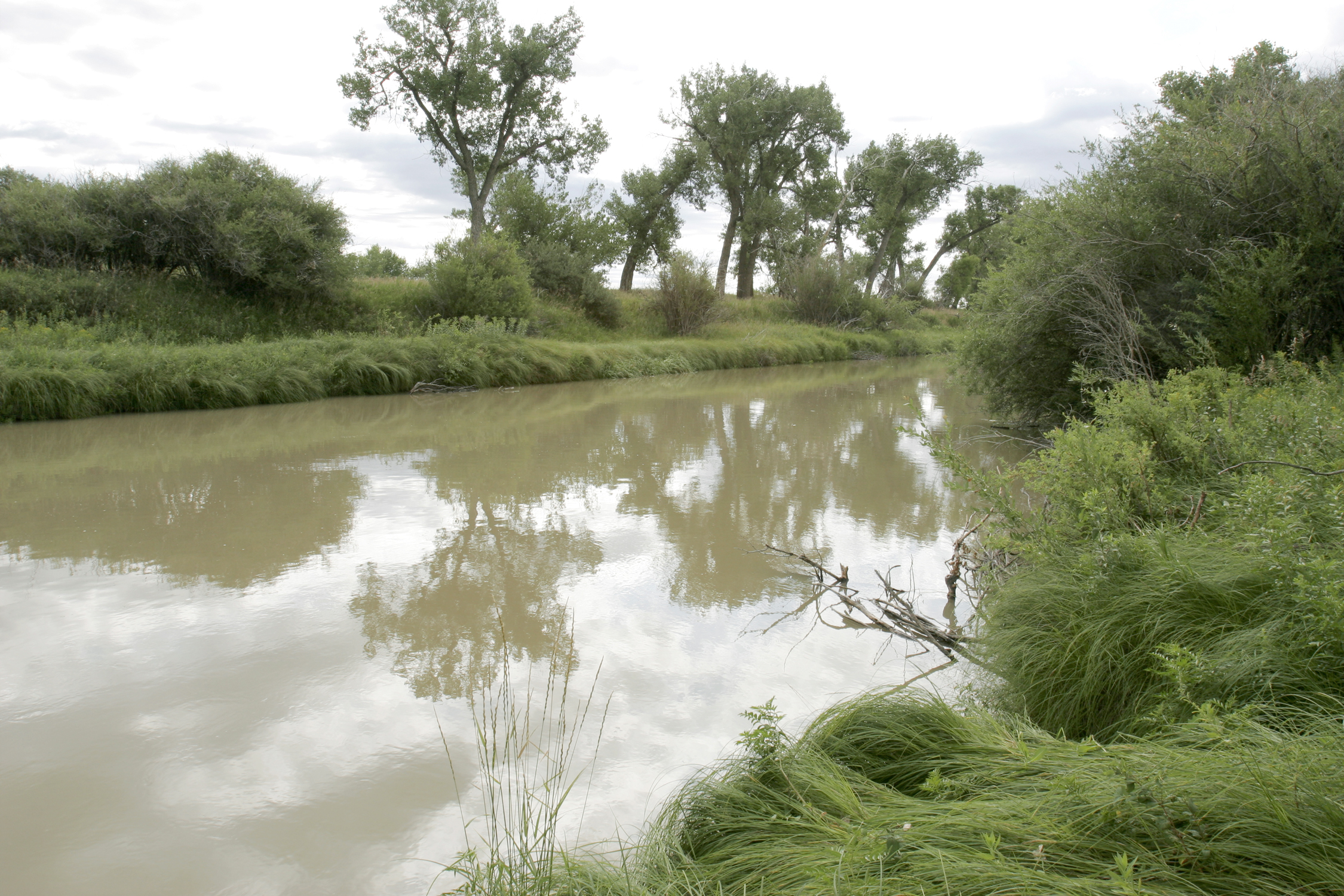 The Milk River running through the Fort Belknap Indian Reservation in July 2005.