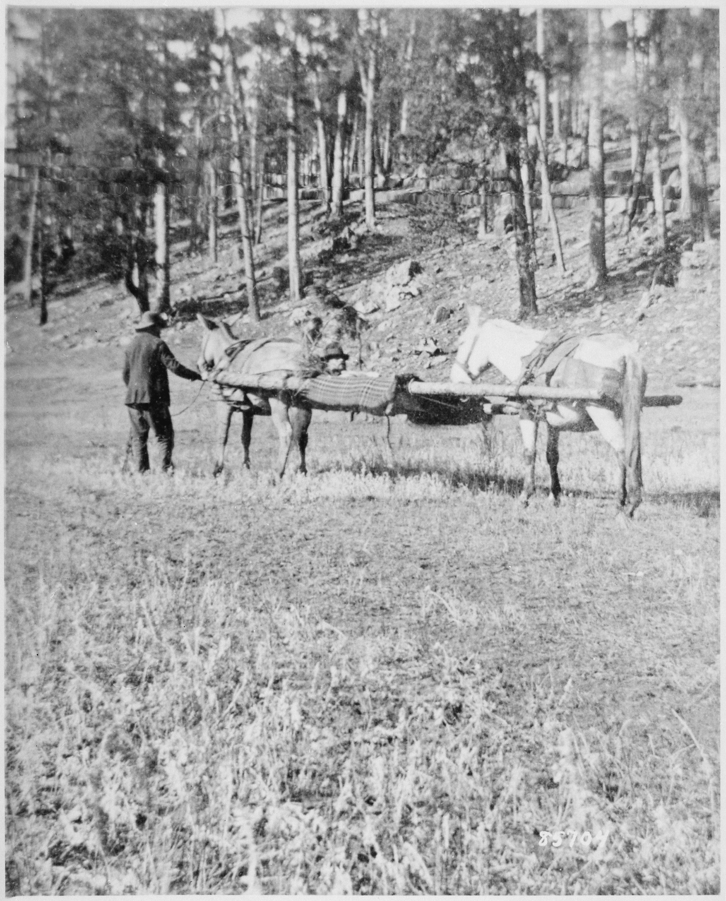 Scope and content:  View a two-horse litter with a wounded soldier, possibly First Lieutenant Adolphus H. Von Luettwitz, and an attendant along French Creek, Black Hills, Dakota Territory. The soldier is covered with a plaid blanket and tree boughs serve as a head rest and provide shade for his head.