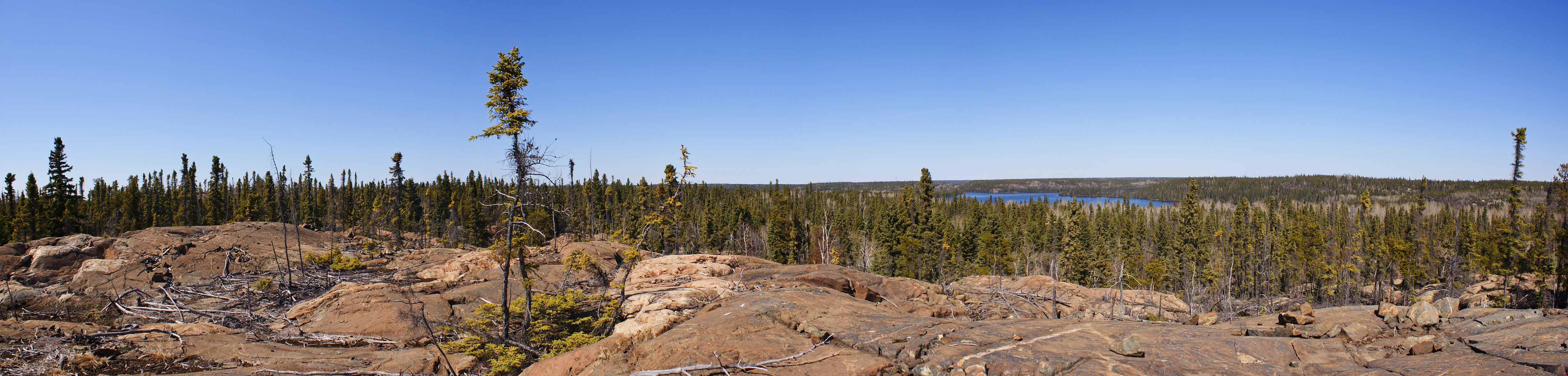 Wilderness and outcrop in the Flin Flon, Manitoba, Canada region. Lake seen is Big Island Lake.