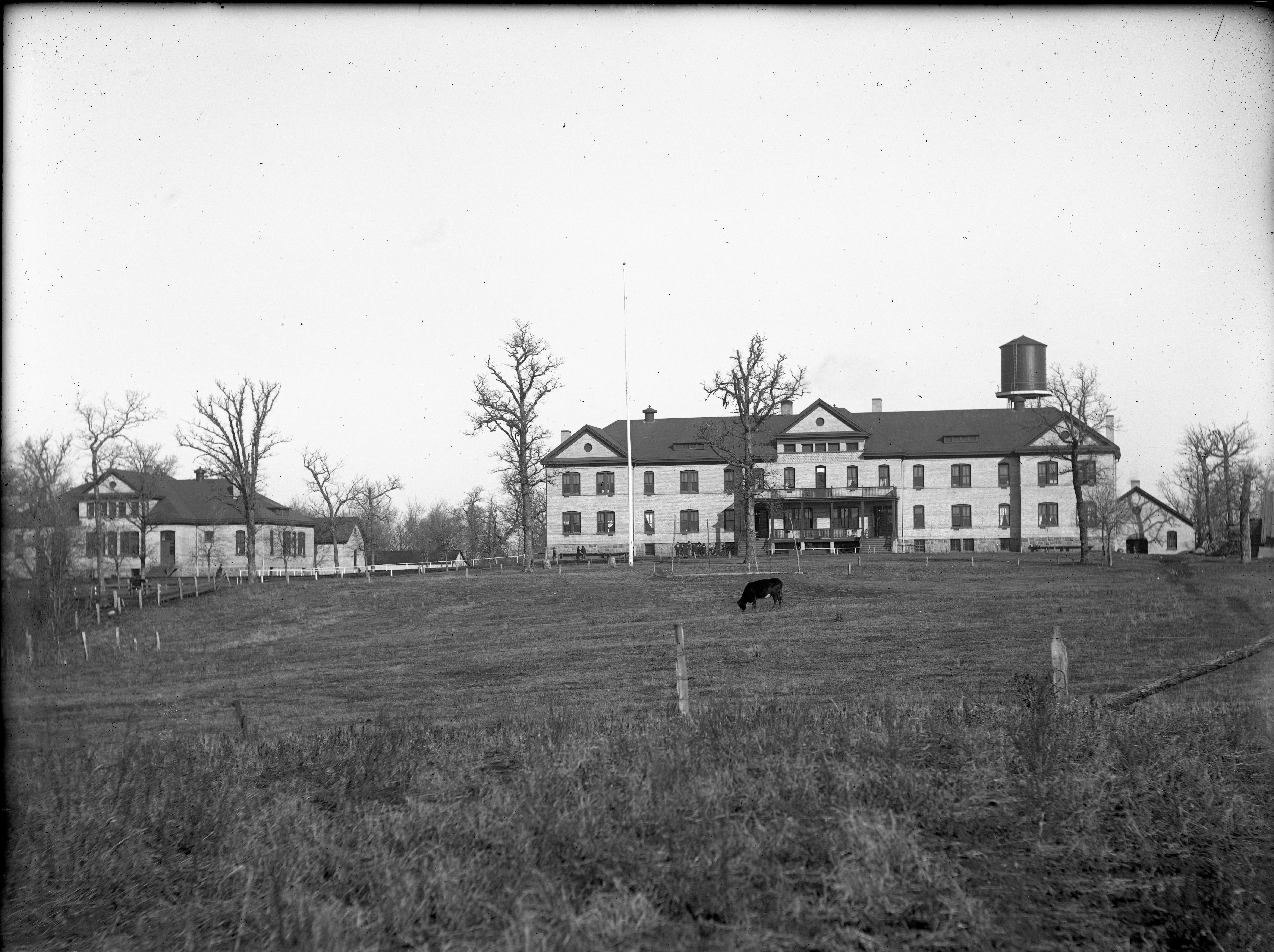 There is one steer in the pasture in front of the buildings. Note oak trees. Formerly BR0586