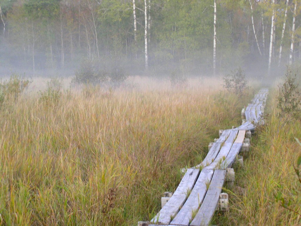 Savanna Portage trail, Savanna Portage State Park, Minnesota, USA