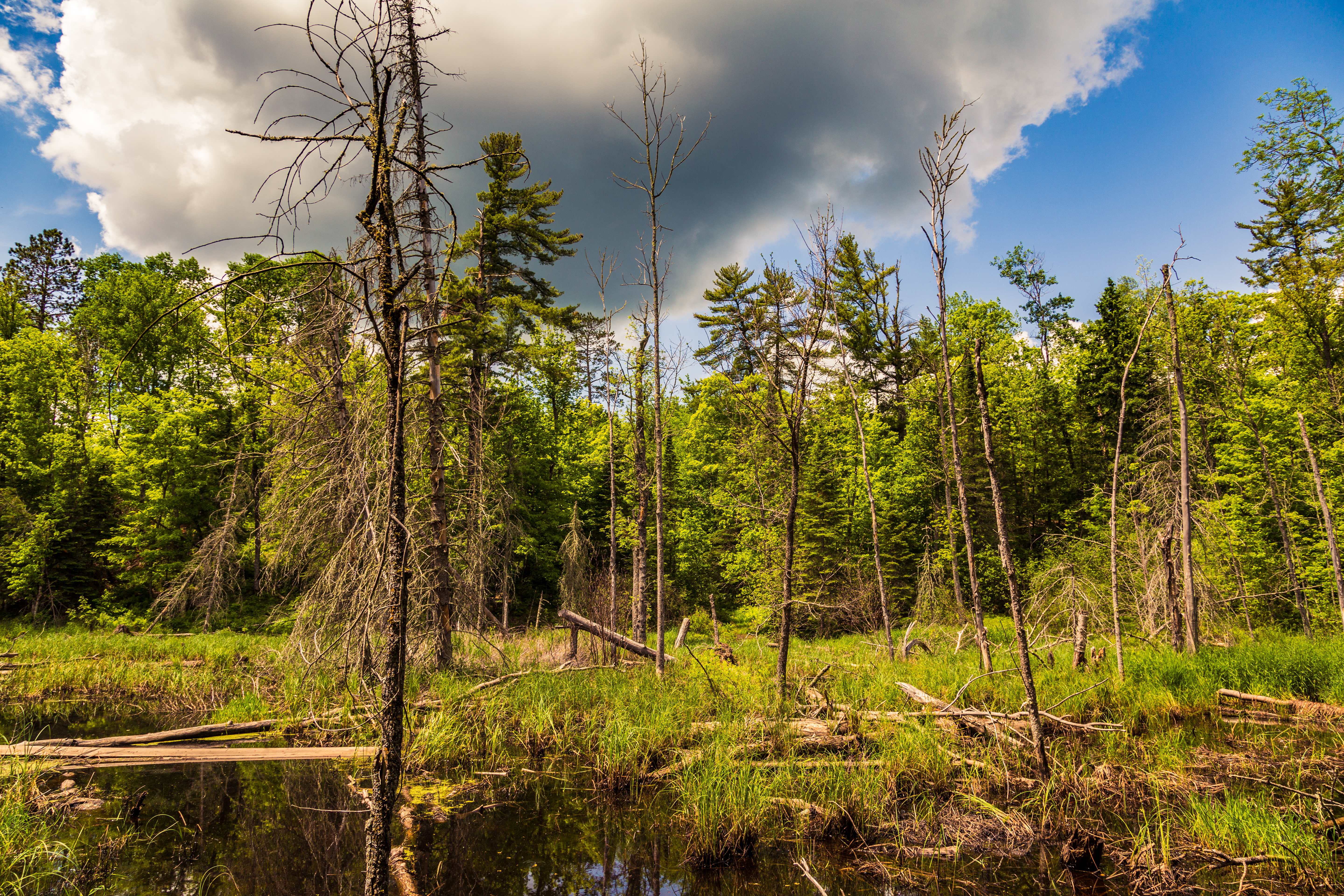 Savanna Portage State Park, Minnesota
