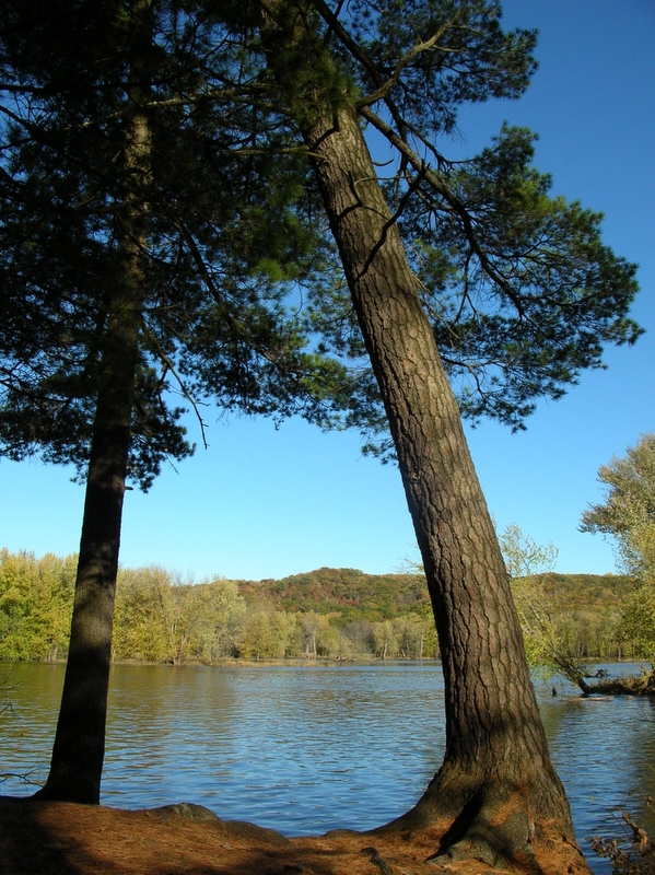 William O'Brien State Park, Minnesota