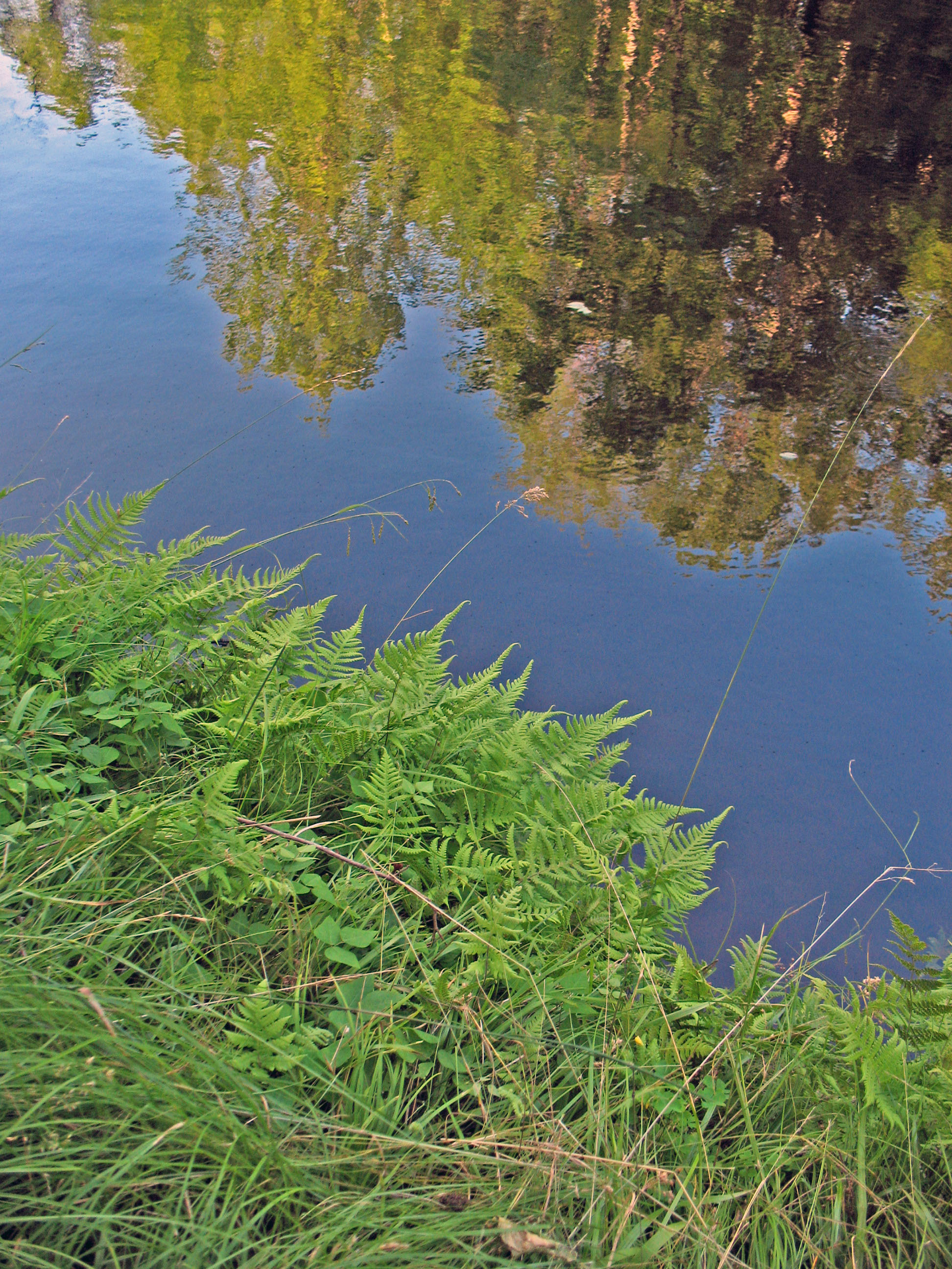 Wisconsin's Brunet Island State Park (2008)