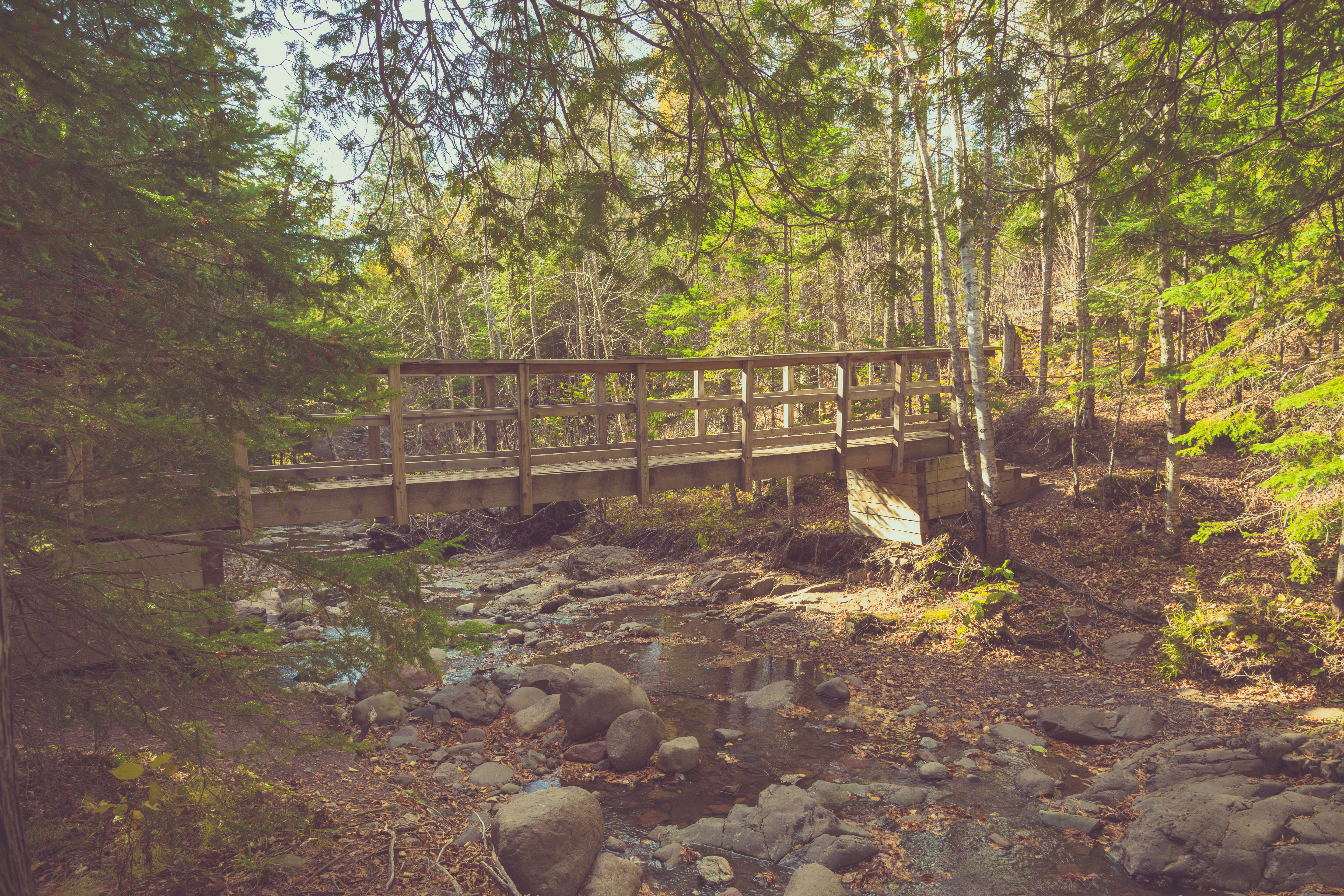 A wooden foot bridge over a stream in Cascade River State Park - Lutsen, Minnesota