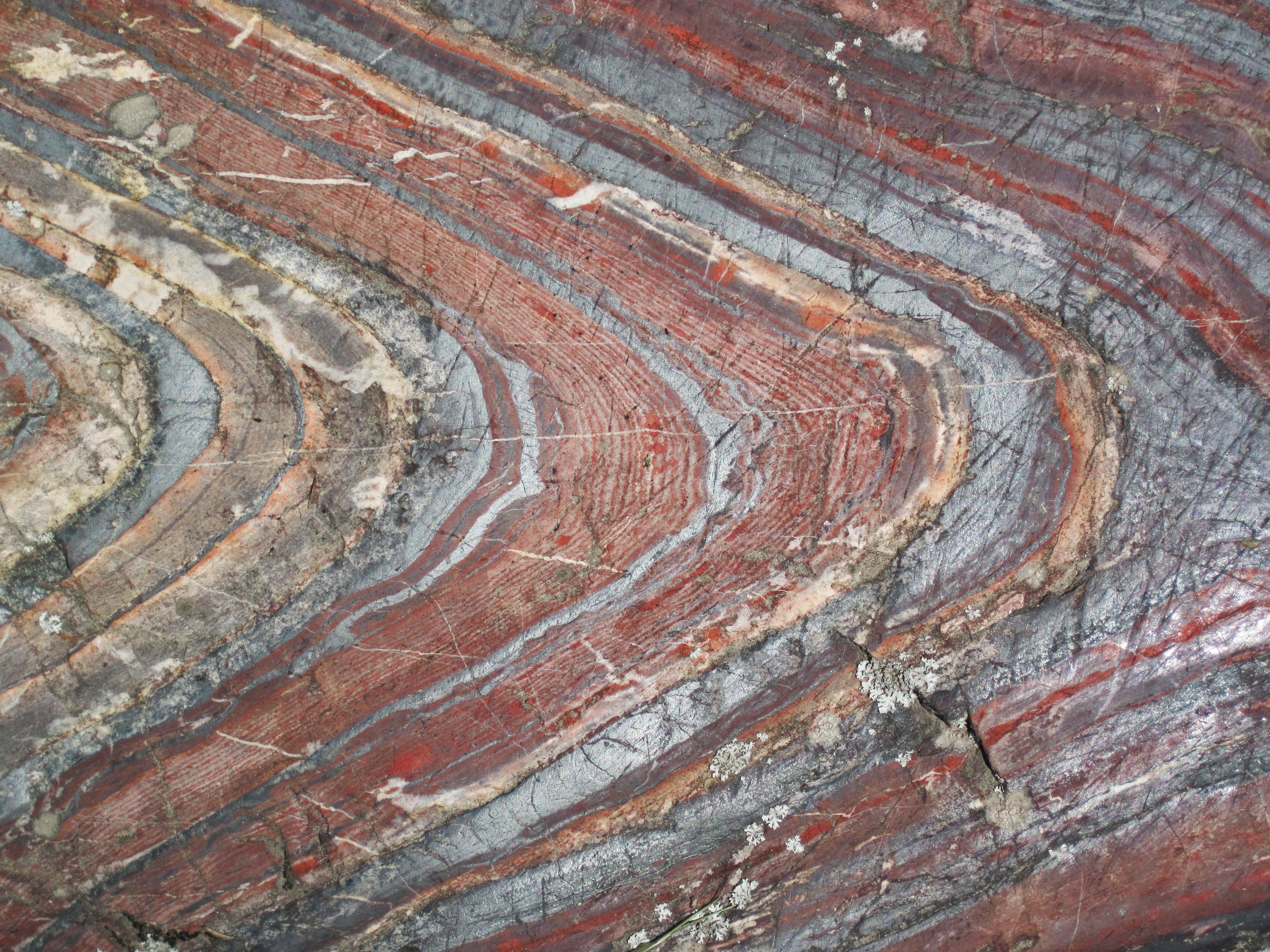 Glacially eroded outcrop of jaspilite banded iron formation in the Precambria of Minnesota.
The Soudan Iron-Formation is a Neoarchean-aged banded iron formation (BIF) unit in the Vermilion Greenstone Belt of northeastern Minnesota, USA.  Stratigraphically, the Soudan is considered to be the middle member of the Ely Greenstone.  Metamorphosed pillow basalt successions occur above and below the iron-rich interval:
- upper member of the Ely Greenstone
- Soudan Iron-Formation member
- lower member of the Ely Greenstone
Radiometric dating of Ely Greenstone rocks (see Jahn &amp; Murthy, 1975) indicate that the Soudan Iron-Formation is about 2.69 billion years old.
The Soudan Iron-Formation was deposited in a deep-water environment and is closely associated with several types of volcanic rocks formed in an ancient island arc setting.  As such, the unit is classified as an Algoma-type iron-formation.  Superior-type iron-formations were deposited in relatively shallow water, continental shelf settings.
The Soudan Iron-Formation is exposed in &amp; around the town of Soudan, Minnesota at roadcuts, glacially-eroded outcrop knobs, surface mines, and underground mines.  The best exposures are at Soudan Underground Mine State Park.  The Soudan Mine targeted high-grade iron ore (specularite) for many decades and closed in the early 1960s.  The site is now accessible to the public and underground tours are offered.
Observed iron-rich lithologies in the Soudan Iron-Formation include specularite, jaspilite BIF, and magnetite BIF.
The above photo is part of a glaciated knob of jaspilite BIF in Soudan Mine Park.  The outcrop is glacially smoothed and striated.  The rocks here are faulted and complexly folded.  Folding occurred in two phases - some of it occurred during soft-sediment deformation events and subsequent structural folding occurred after the rocks were lithified.  The light-colored layers are chert (= microcrystalline to cryptocrystalline quartzose sedimentary rock), the red layers are "jasper" (= hematite-rich chert), and the silvery-gray layers are magnetite-chert.  A detailed description of this outcrop occurs in Huda et al. (2008).
Stratigraphy: Soudan Iron-Formation member, Ely Greenstone, Vermilion Greenstone Belt, Neoarchean, ~2.69 Ga
Locality: glaciated outcrop now adjacent to Stuntz Bay Road in Soudan Underground State Park, Soudan, northern St. Louis County, northeastern Minnesota, USA (47° 49' 14.82" North, 92° 14' 11.84" West)


References cited:
Huda et al. (2008) - Field Guide to the Volcanology, Structure, Alteration, and Mineralization of Archean Greenstone Belts in the Vicinities of Sturgeon Lake and Rainy River, Ontario and Lake Vermilion, Minnesota, October 5-12, 2008, Field Trip Guidebook.  209 pp.

Jahn &amp; Murthy (1975) - Rb-Sr ages of the Archean rocks from the Vermilion District, northeastern Minnesota.  Geochimica et Cosmochimica Acta 39: 1679-1689.