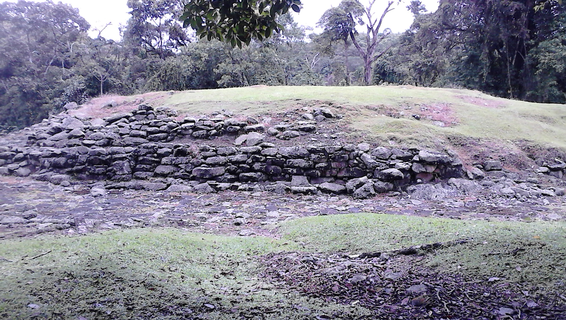 Base stone mound, where once stood a conical house in the Guayabo National Monument, Costa Rica.