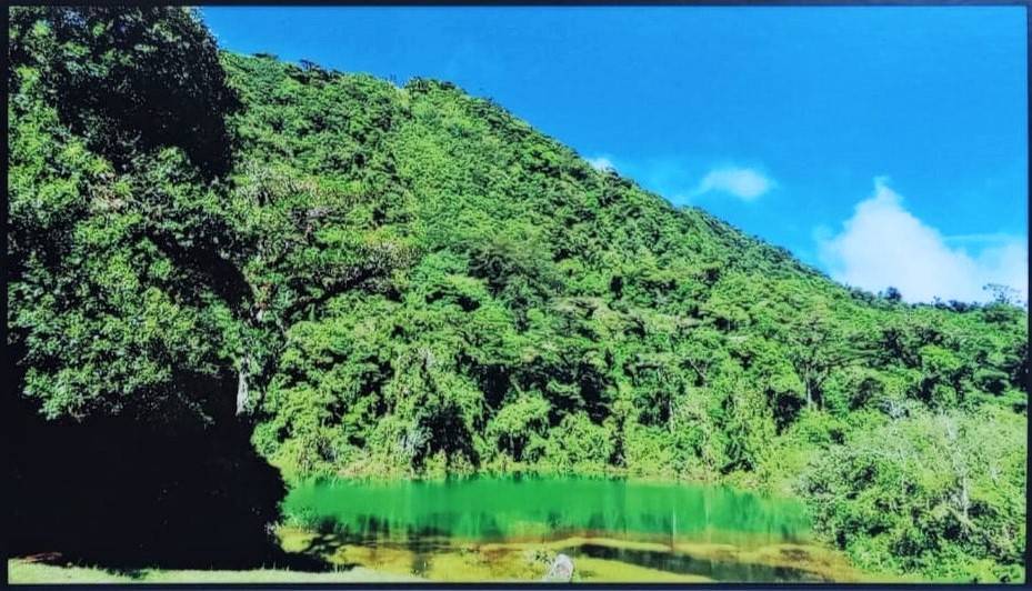 Pozo verde en el parque Juan Castro Blanco