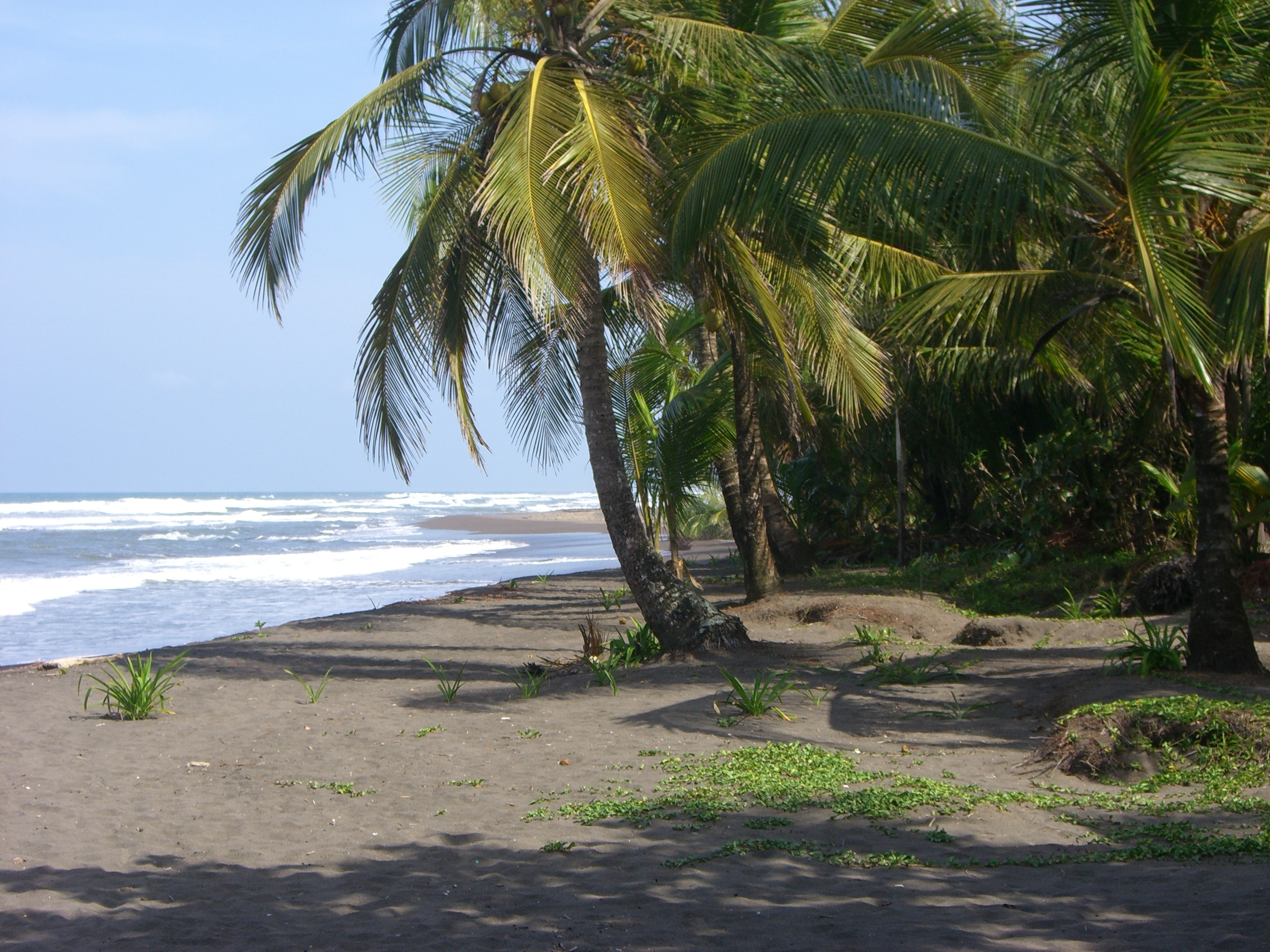 I took this picture while I stayed at Tortuguero, Costa Rica. This is showing the dark sand due to volcanic ash and a nice view Caribbean sea.
