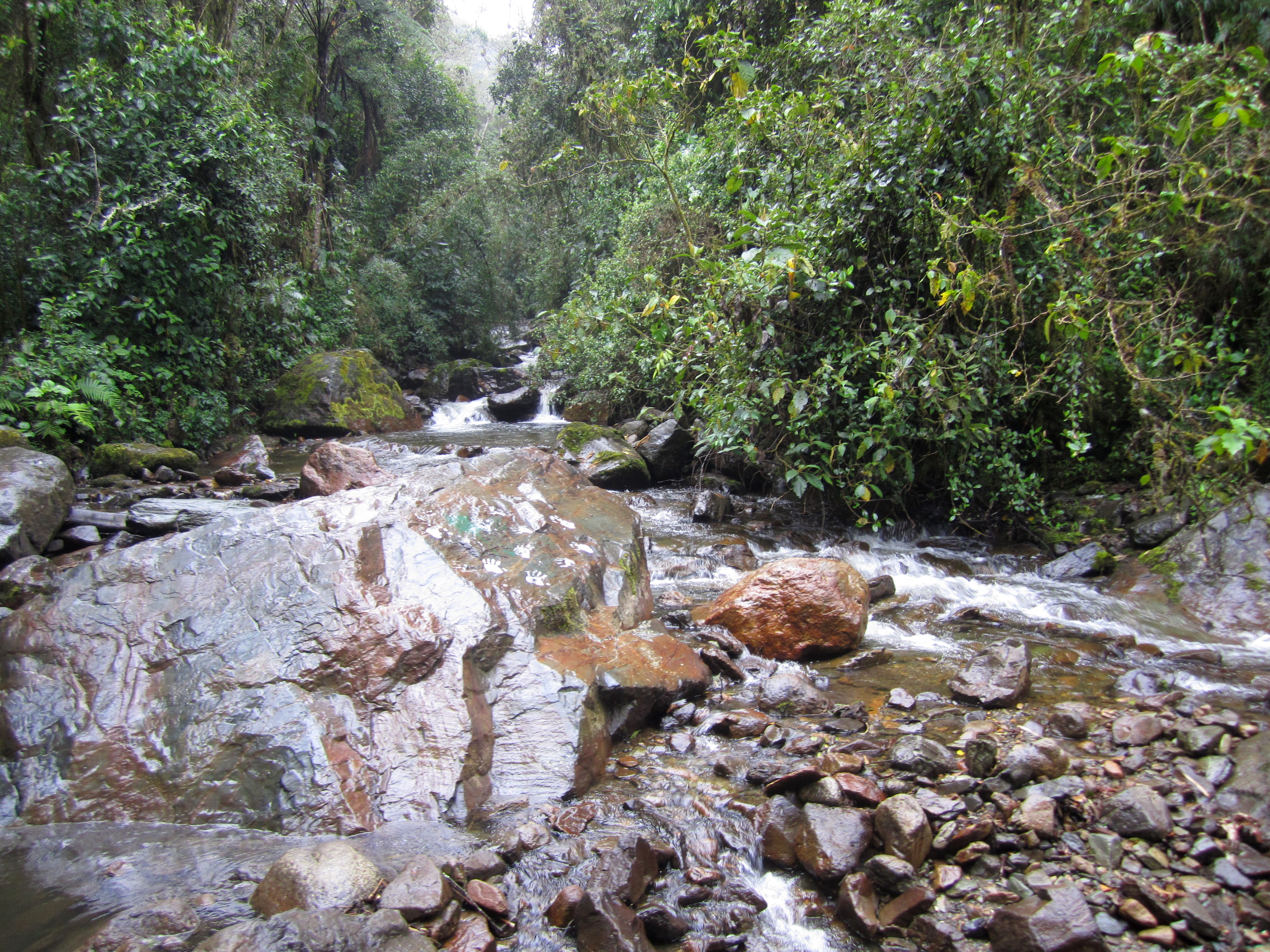 The river along which tourists trek on the way to the cafe (and further on to Parque Nacional los Nevados) in Valle de Cocora, Quindío, Colombia