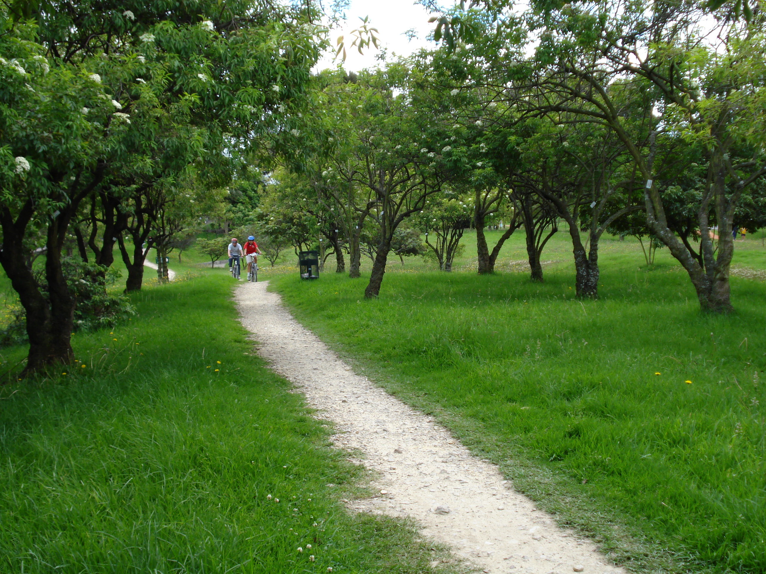pista todoterreno del Parque Central Simón Bolívar