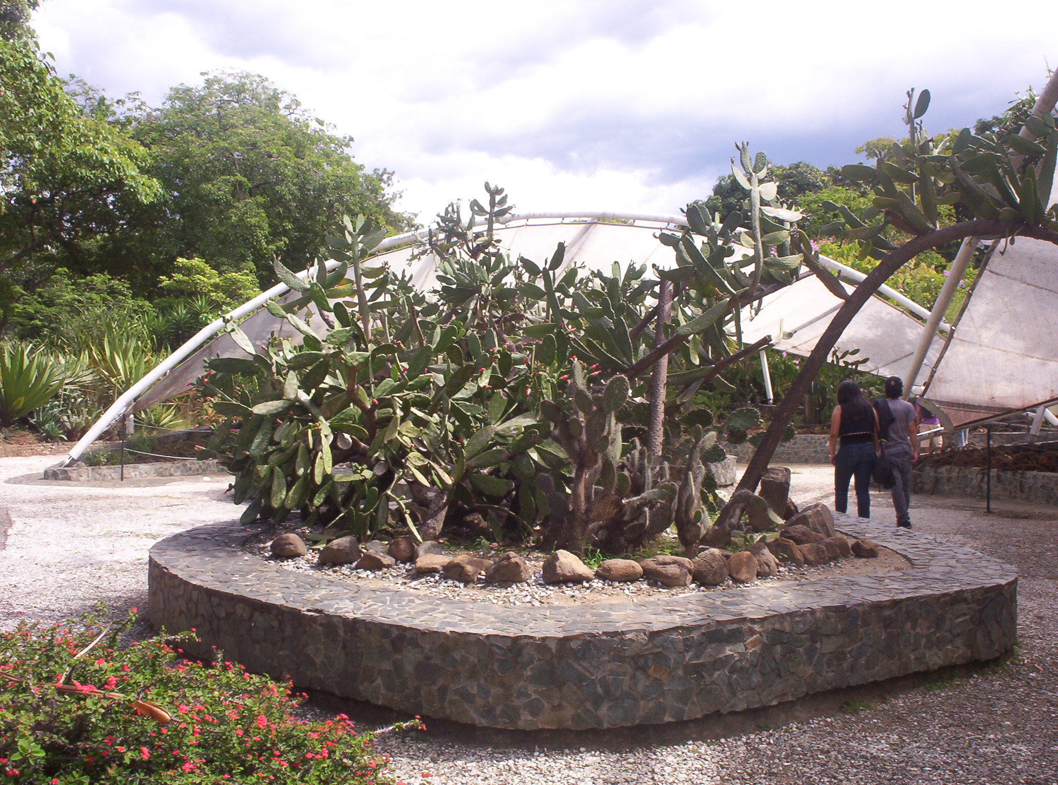 Jardin Botanico Medellin Colombia
