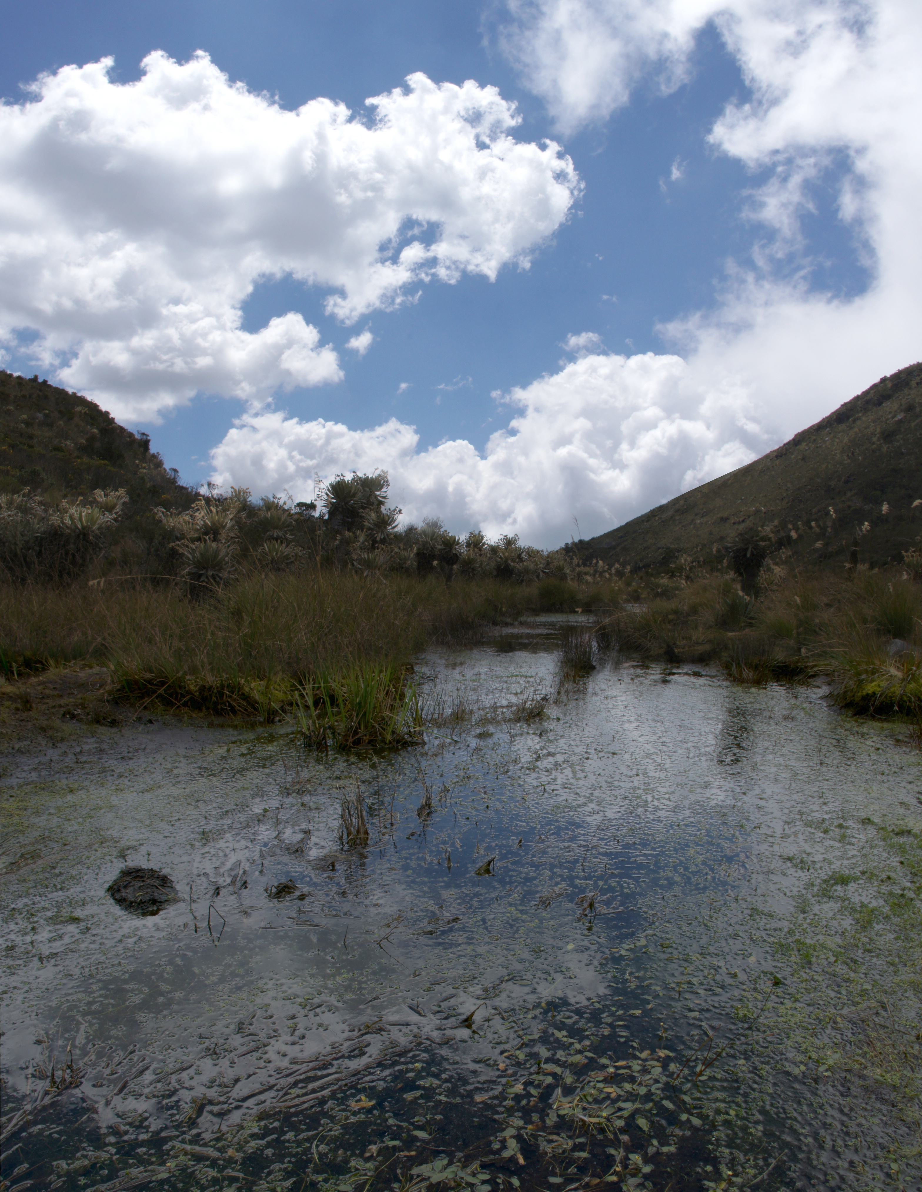 Laguna de Iguaque, Villa de Leyva, Boyacá, Colombia.