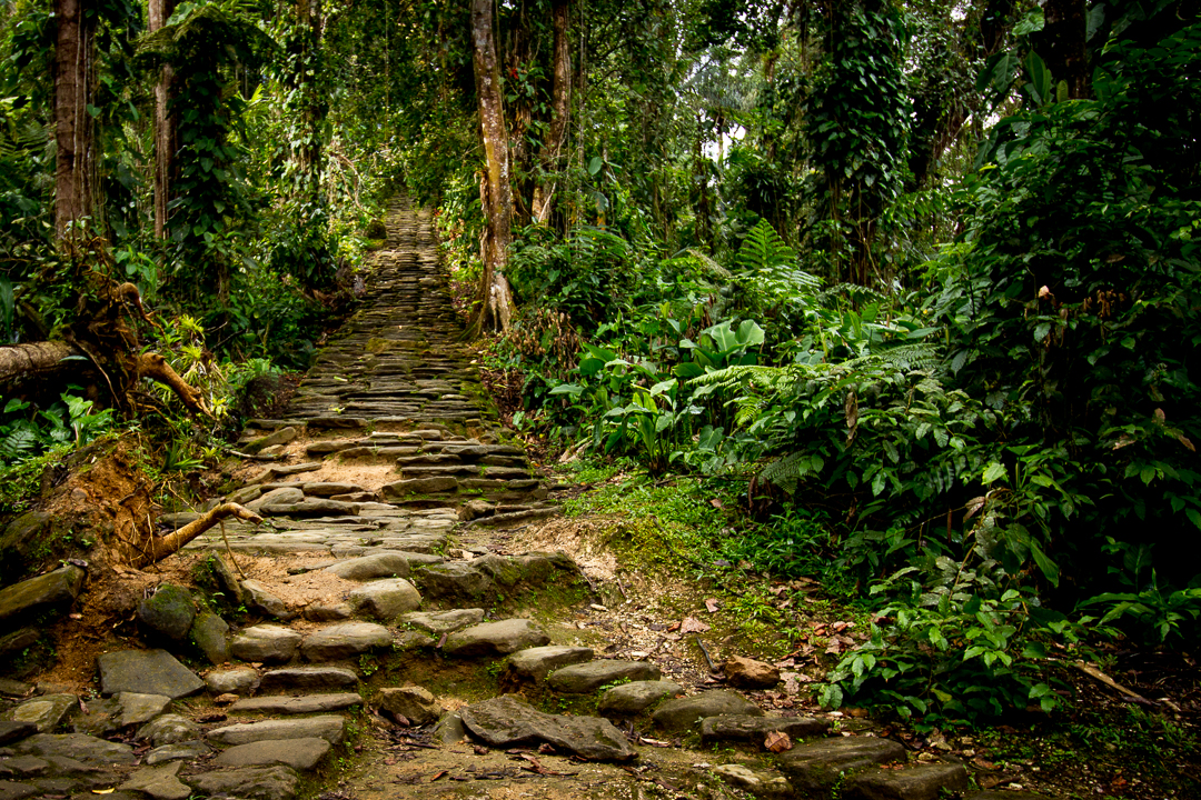 This is a section of the stone staircase that leads up from the river valley to Ciudad Perdida.
