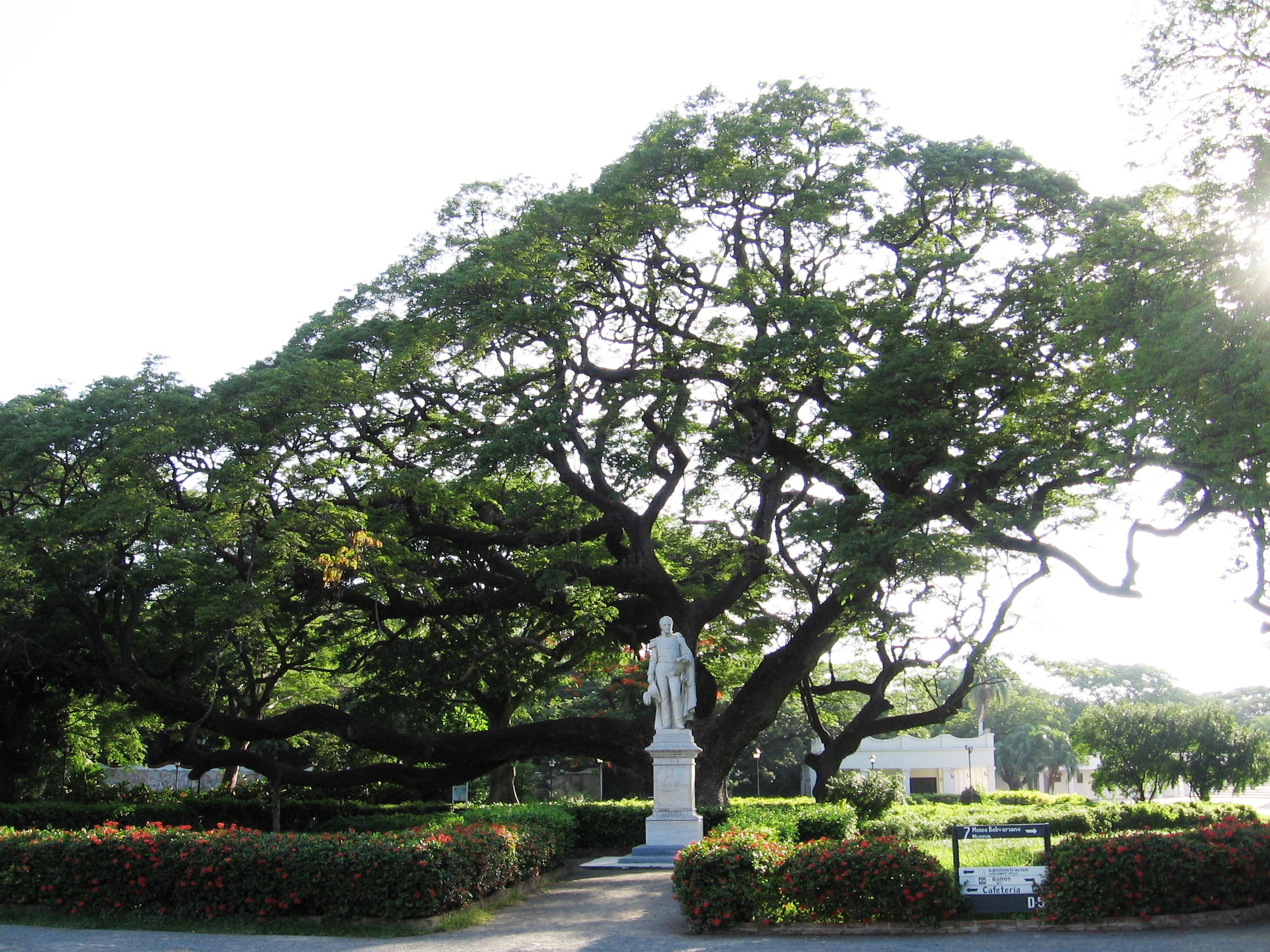 Statue of Simon Bolivar at Quinta de San Pedro Alejandrino, in Santa Marta, Colombia.