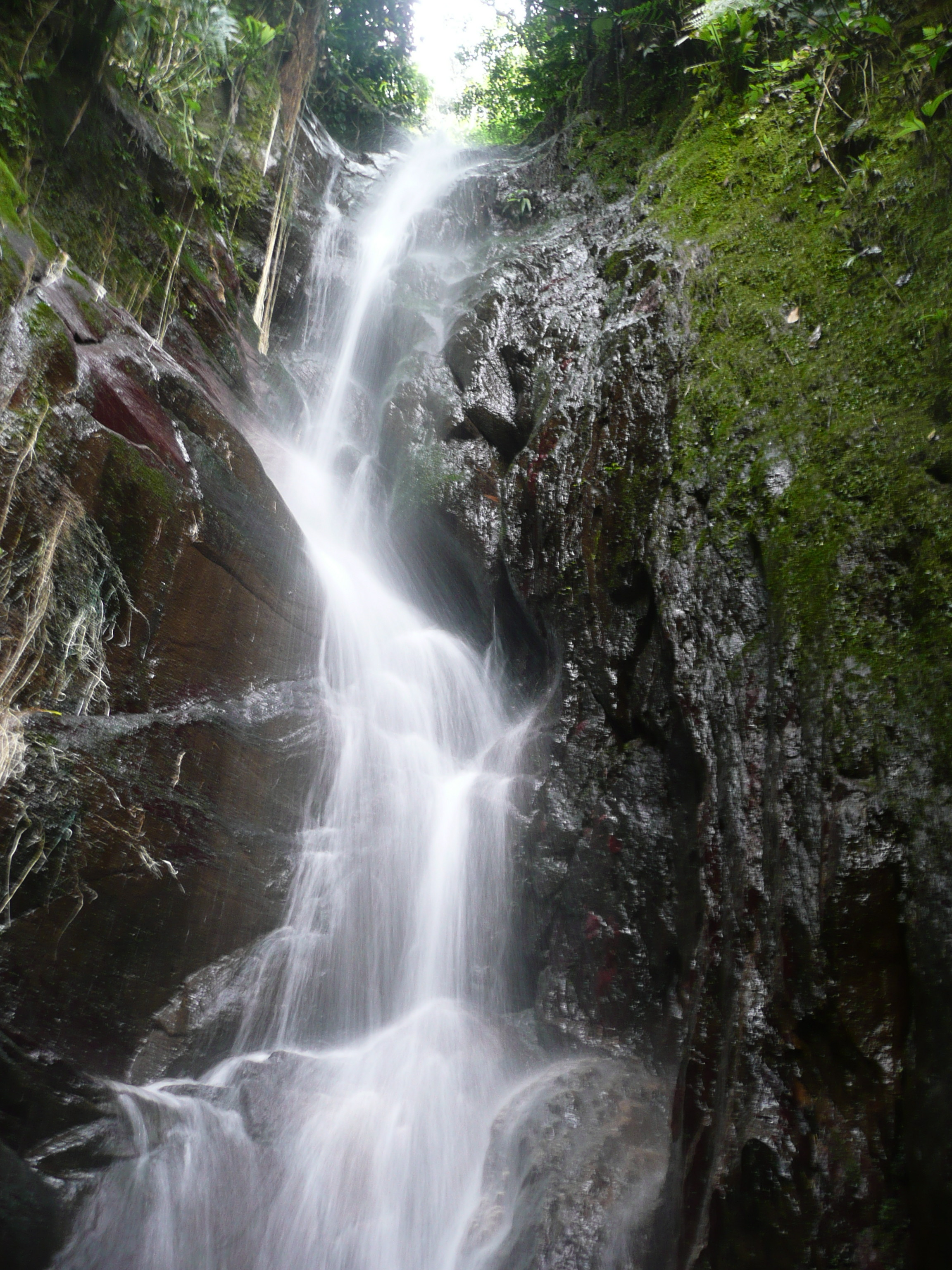 Carretera Maracay-Ocumare de la Costa. Parque Nacional Henri Pittier, Estado Aragua, Venezuela.