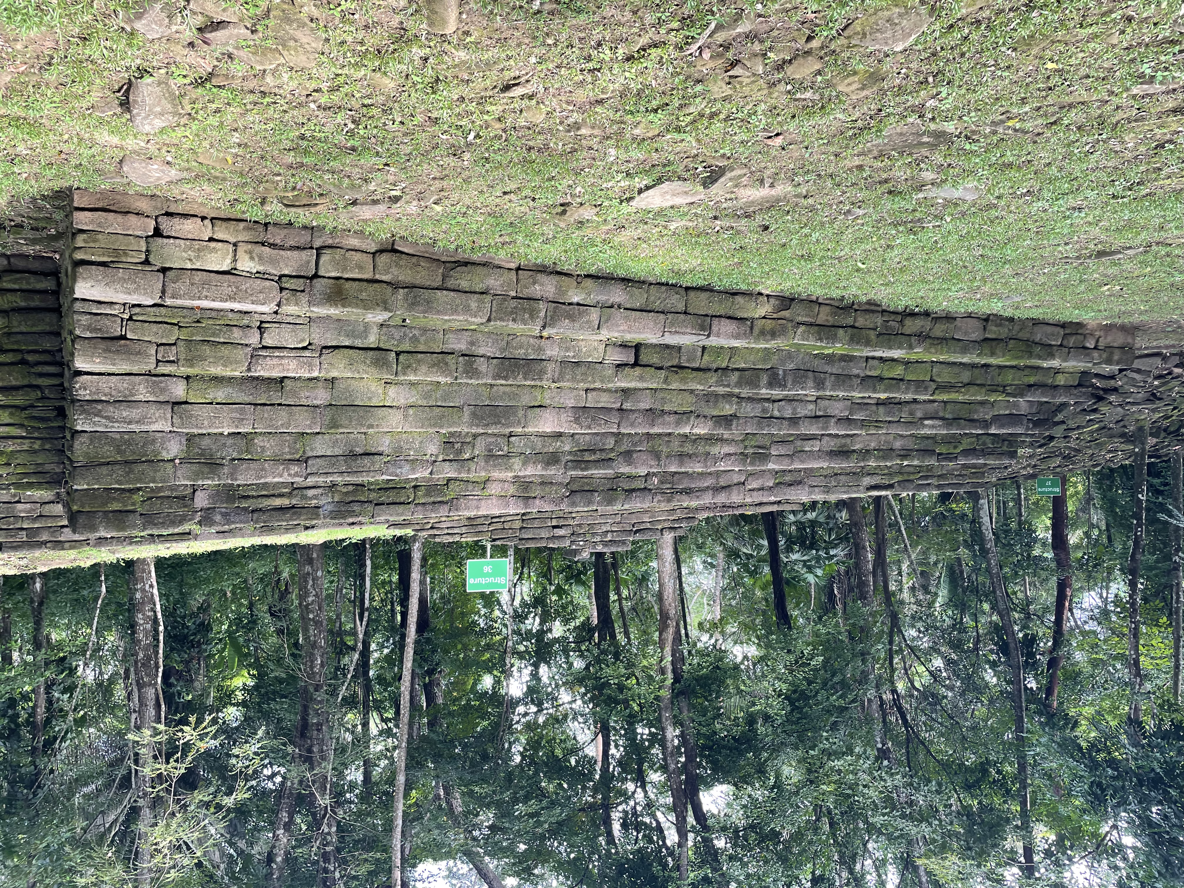 Structure 36, stone steps leading to a terrace, at Nim li Punit archaeological site, Belize.