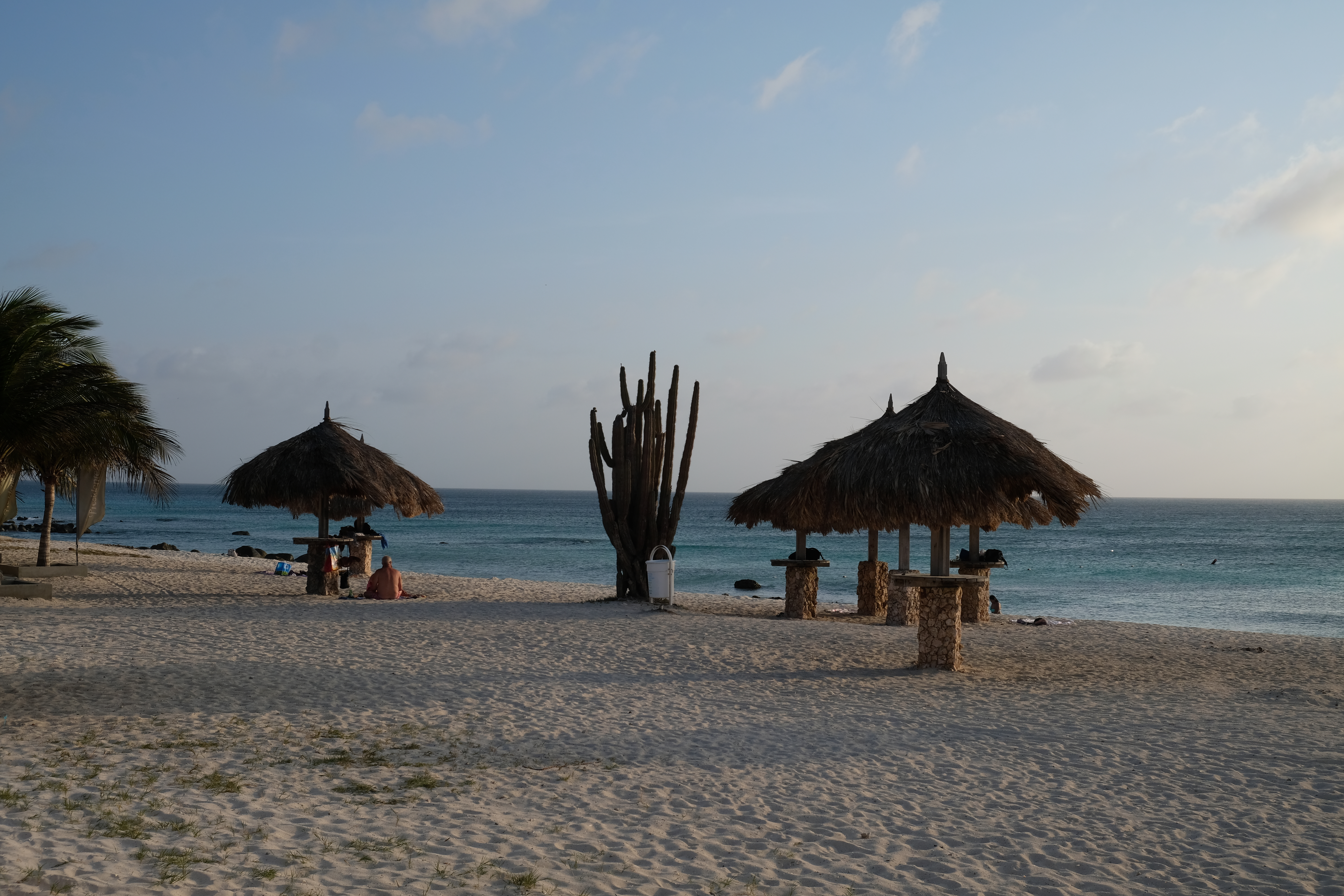 Sunset at Arashi beach Aruba with cactus and umbrellas