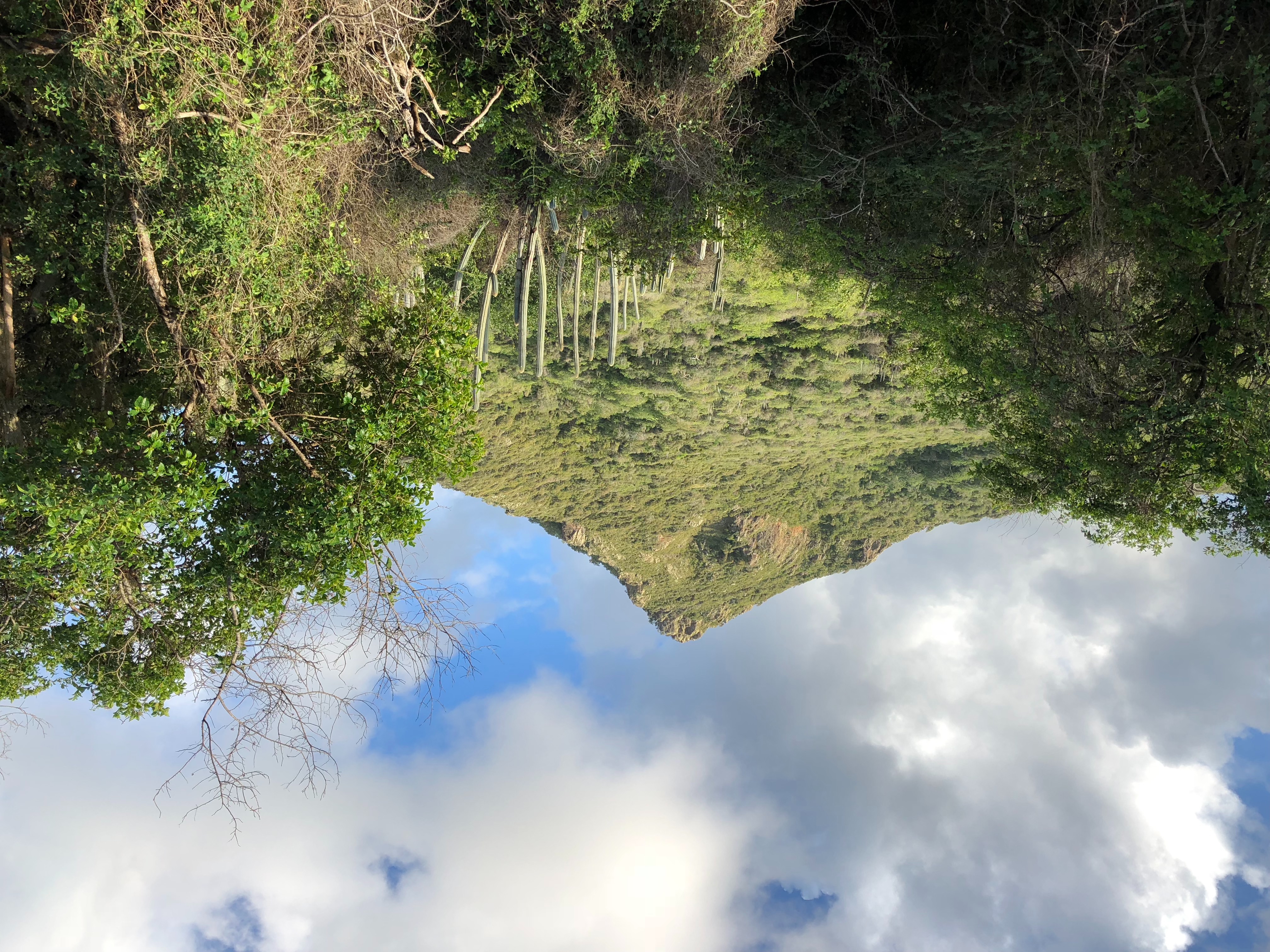 Christoffelberg as seen from Christoffelpark parking lot, start of hiking trail, Curaçao, February 2018