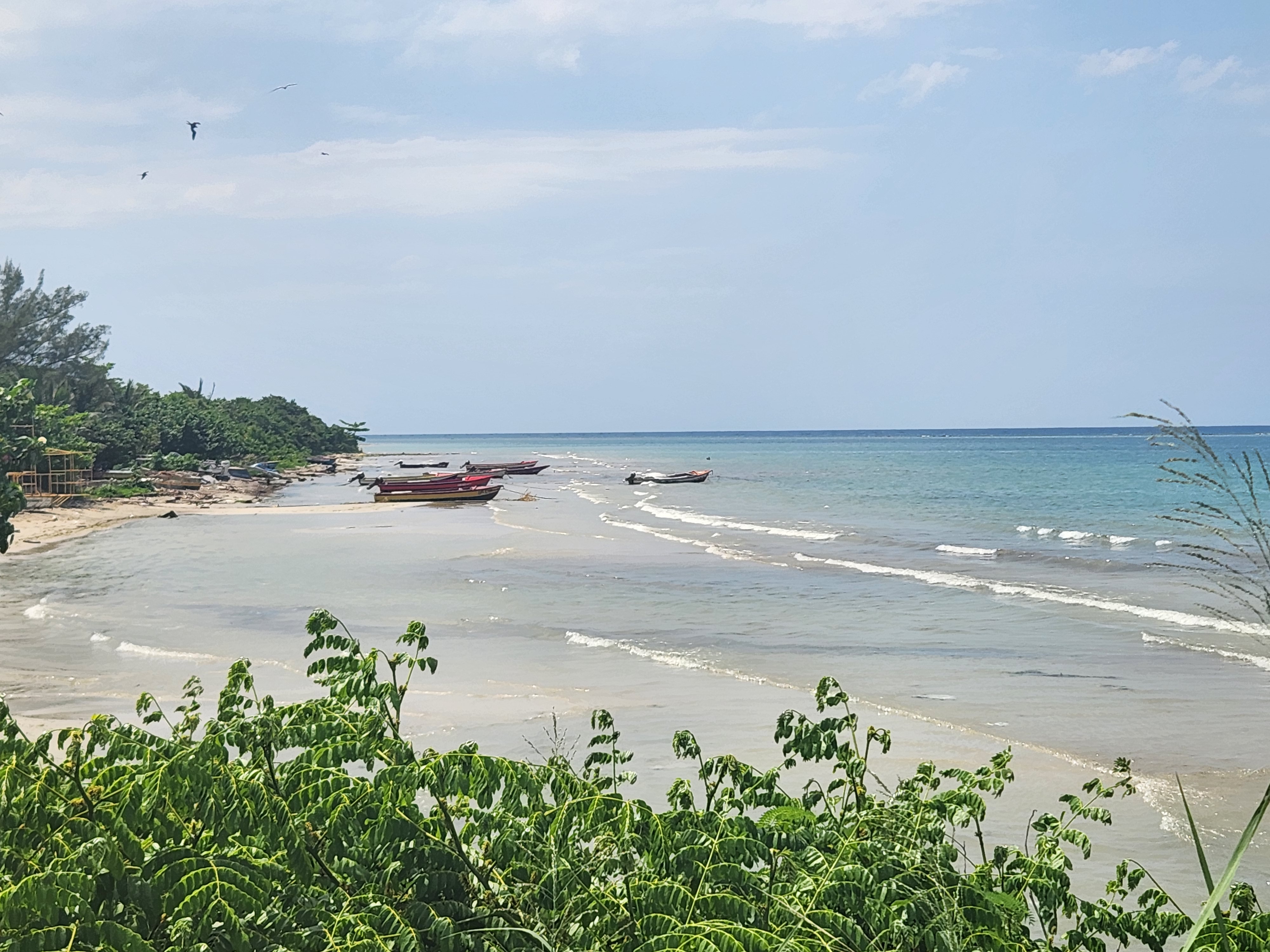 St Ann's Bay looking north at the Causeway