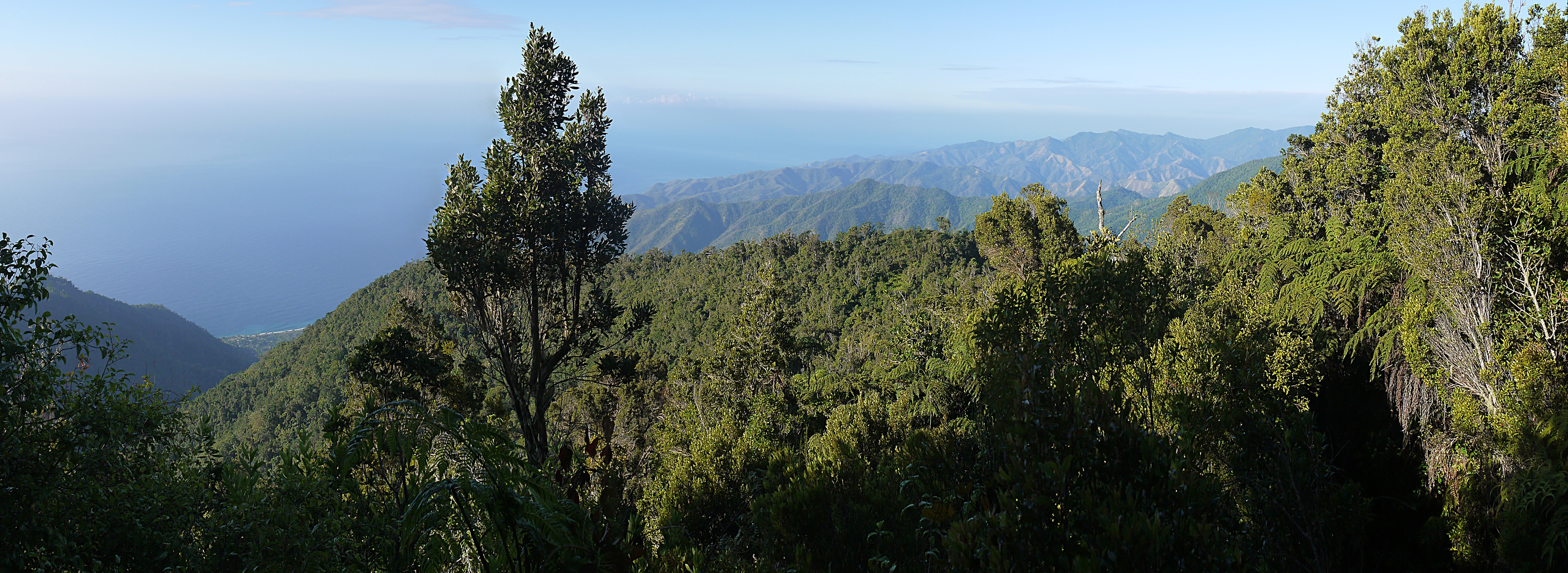 View of the Sierra Maestra and Parque Nacional Turquino — from the trail to Pico Turquino in the range and park, in Guamá Municipality, Santiago de Cuba Province.
Showing Cuban pine forests ecoregion habitats.