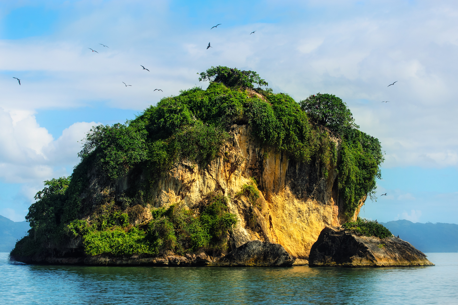An island with nesting birds in San Lorenzo bay (Los Haitises National Park, Dominican Republic)
