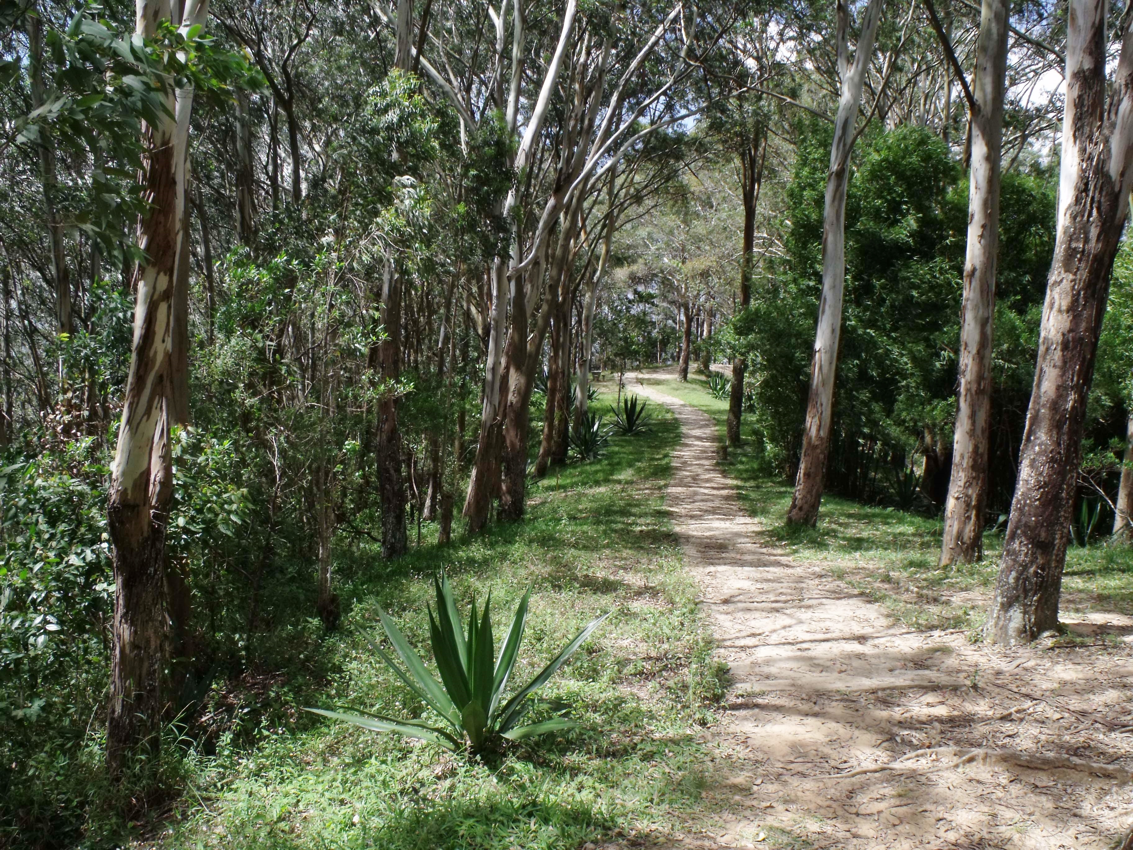 Zamurera es un mirador cercano al área recreativa los Venados. Parque nacional Waraira Repano - Ávila.