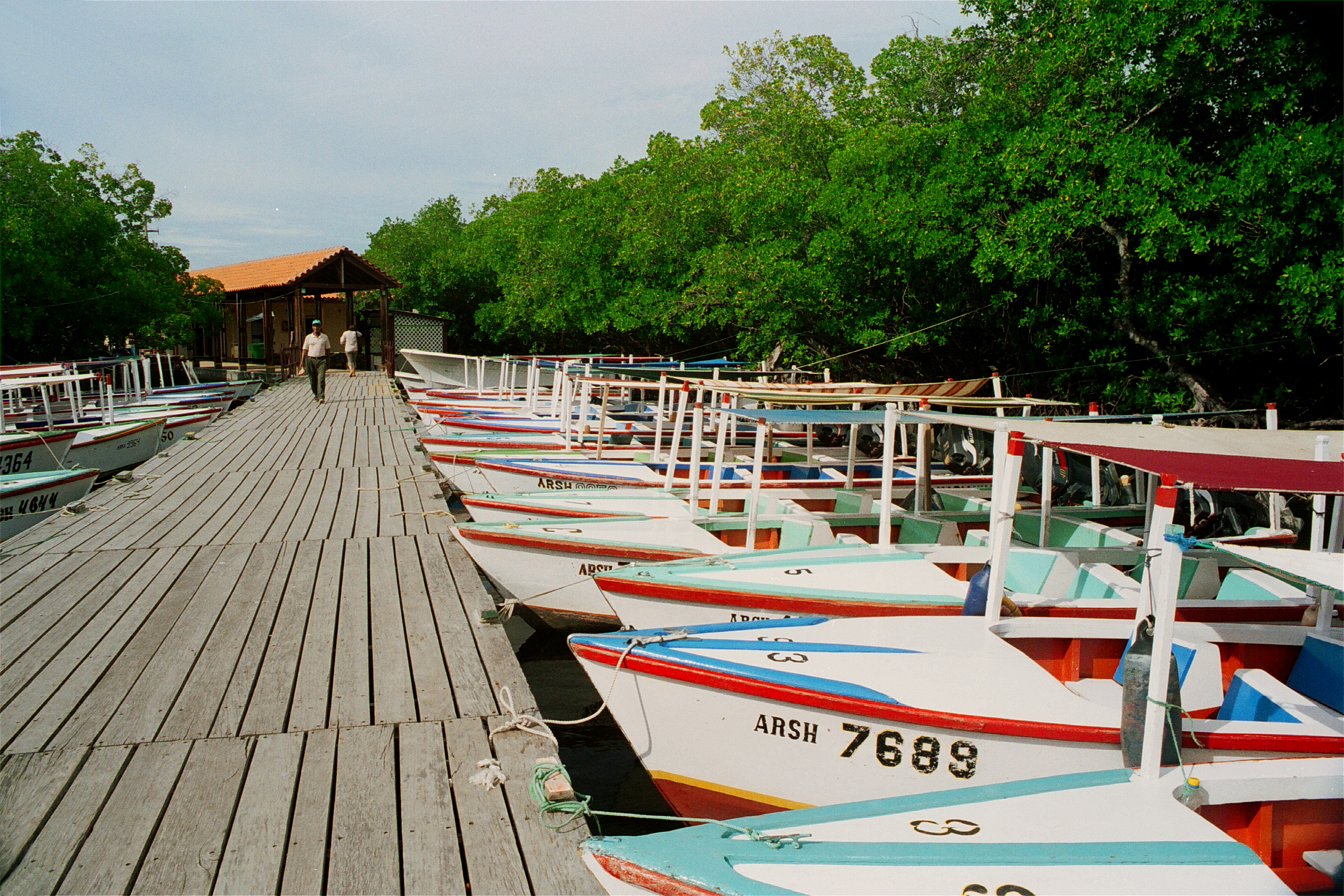 Spanish: Laguna de La Restinga, isla de Margarita, Venezuela