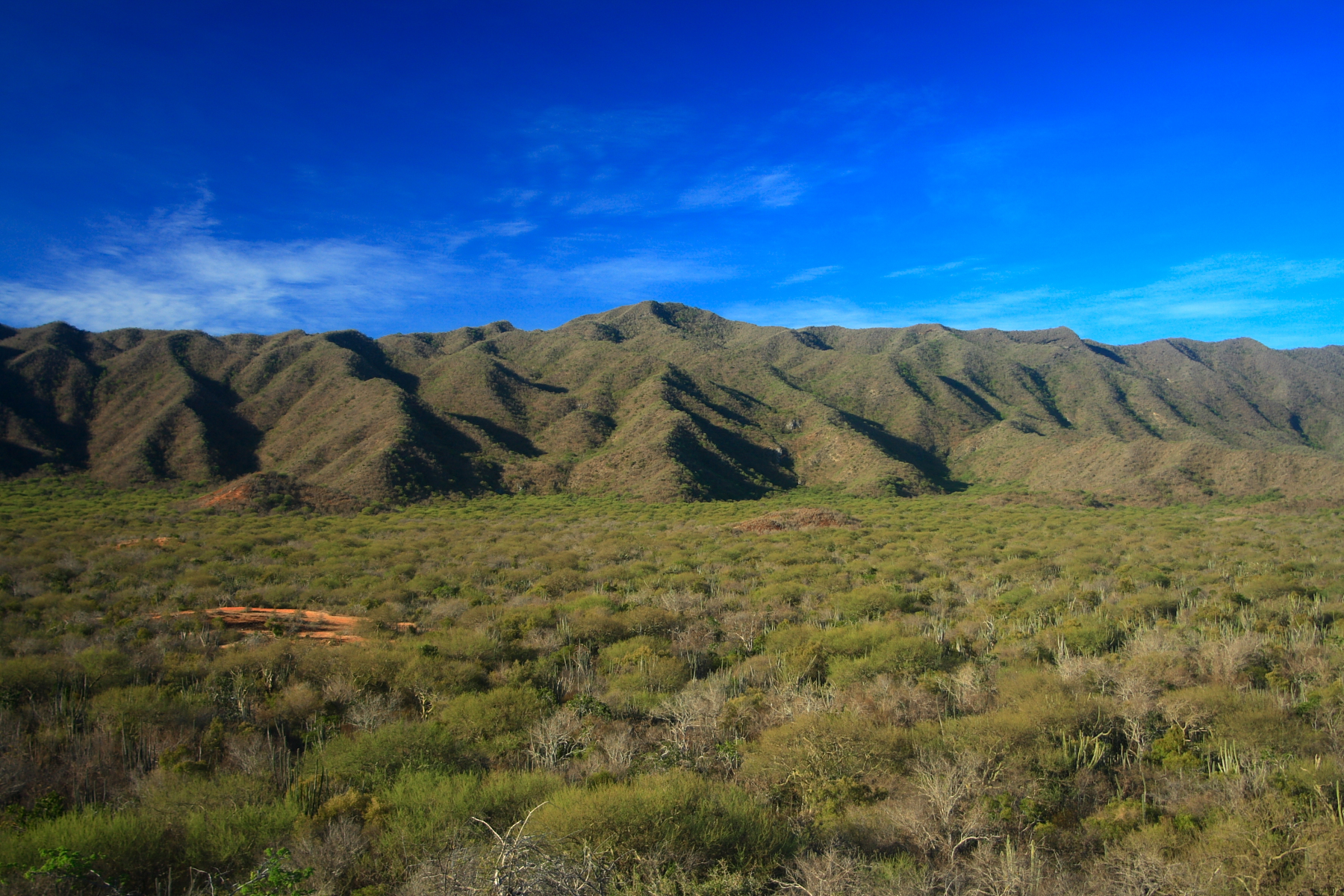 En la península de Araya.