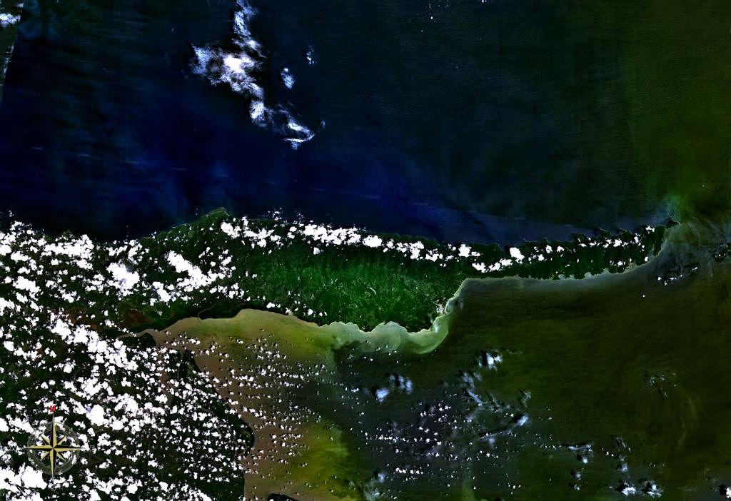 Paria Peninsula in Venezuela. Satellite view.