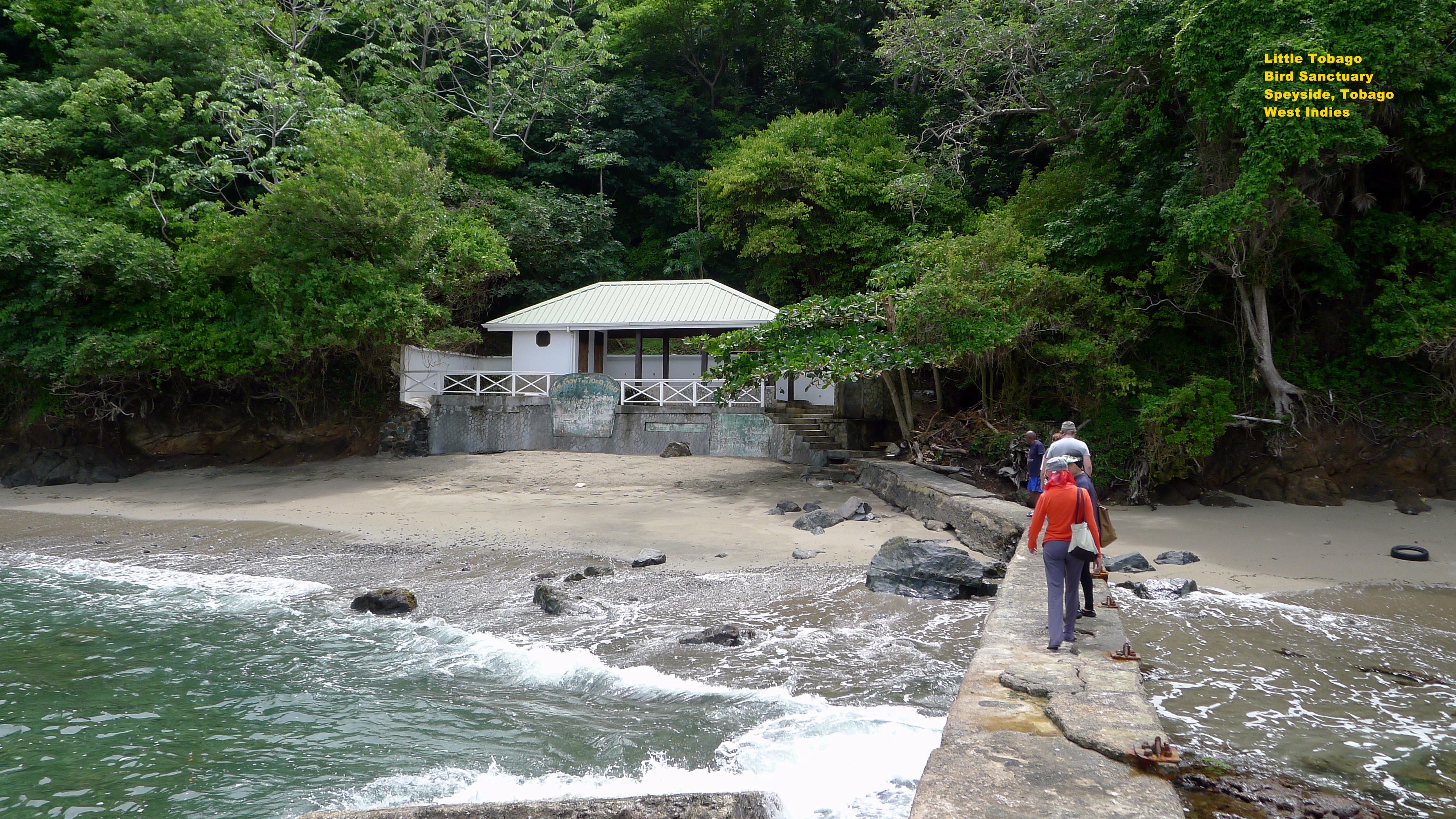 Little Tobago island - Located off the north east village of Speyside, Tobago, West Indies. It is a bird sanctuary.