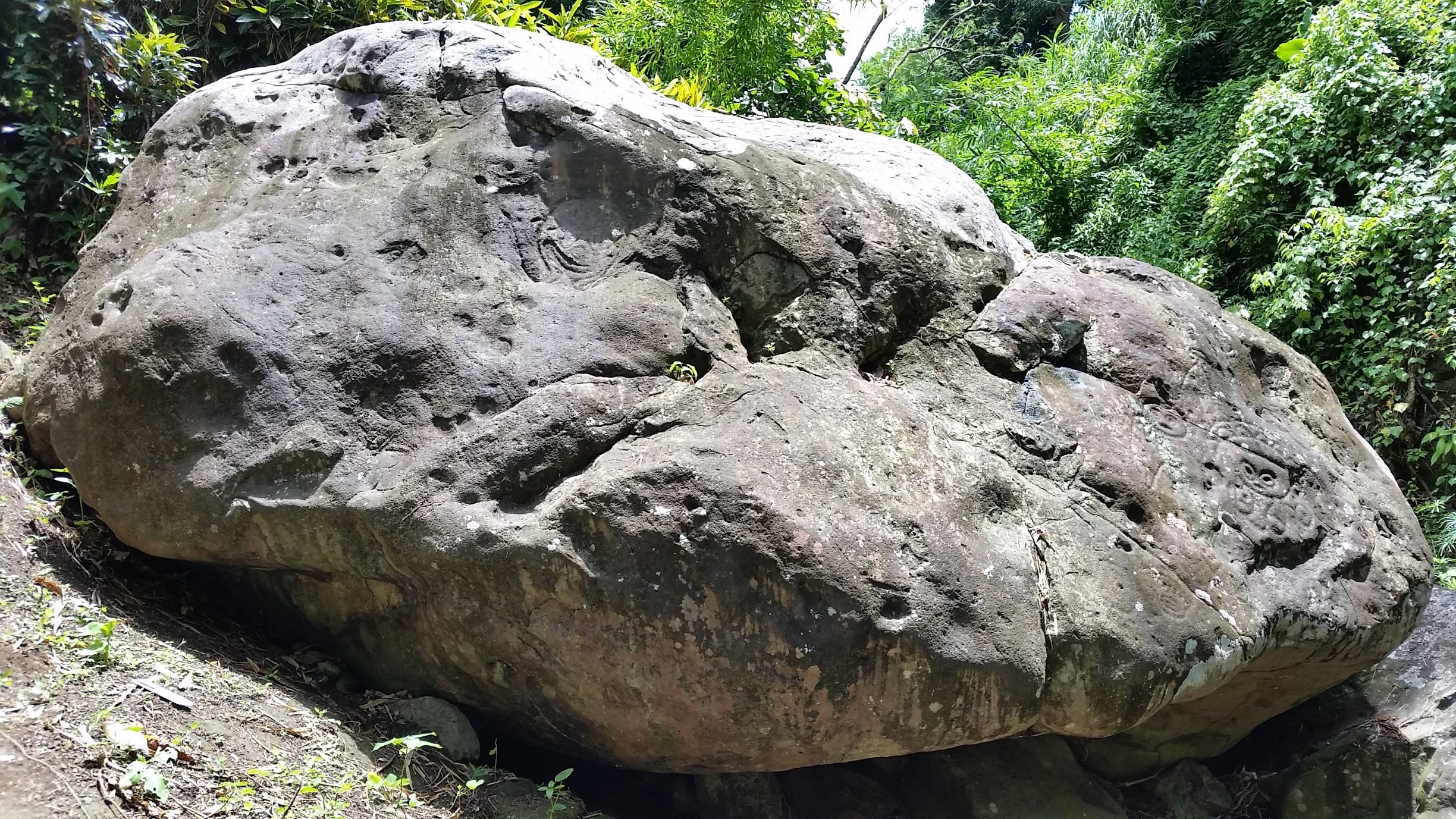 Main stone at the Mt. Rich Petroglyphs in Grenada, W.I.
