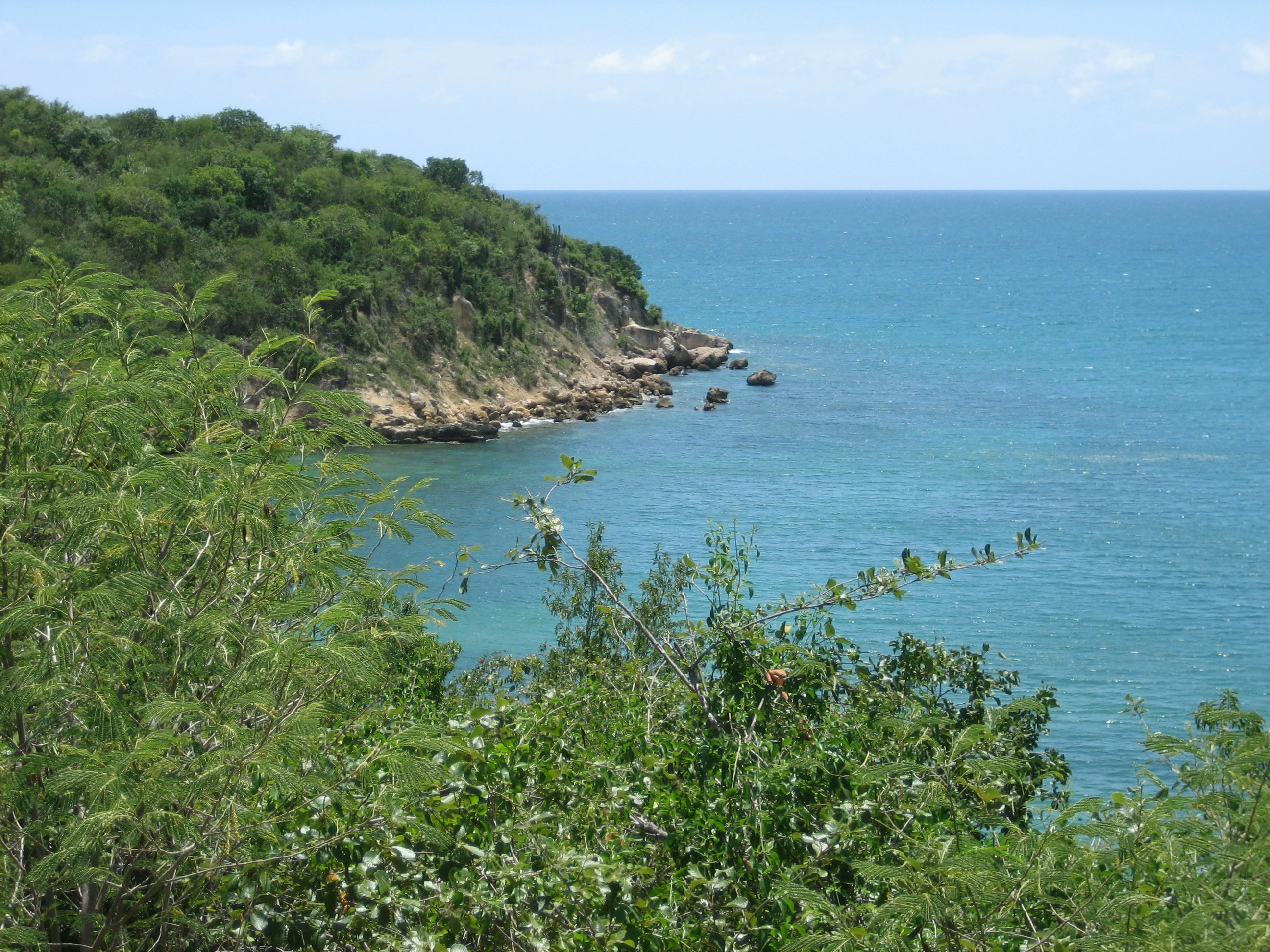 Situated in the south-west of Puerto Rico, the (UNESCO) Guanica Biosphere Reserve comprises (4000 hectares of) coastal areas with several mangrove cays as well as subtropical dry forest.