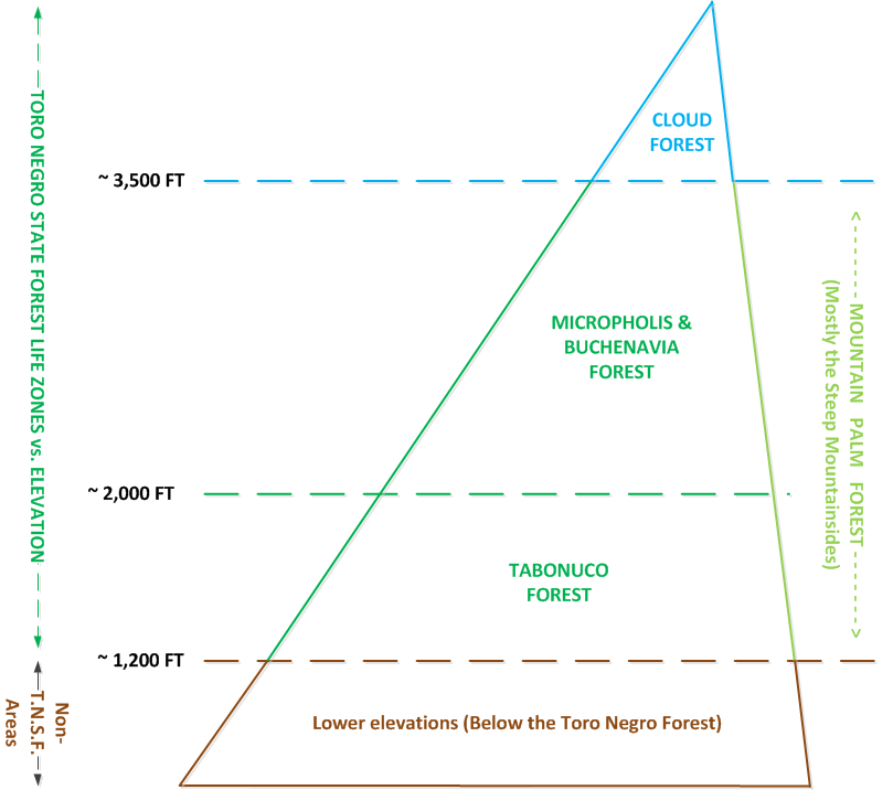 Diagrama (formato PNG) mostrando las zonas de vida en el Bosque Estatal Toro Negro, Ponce, Puerto Rico