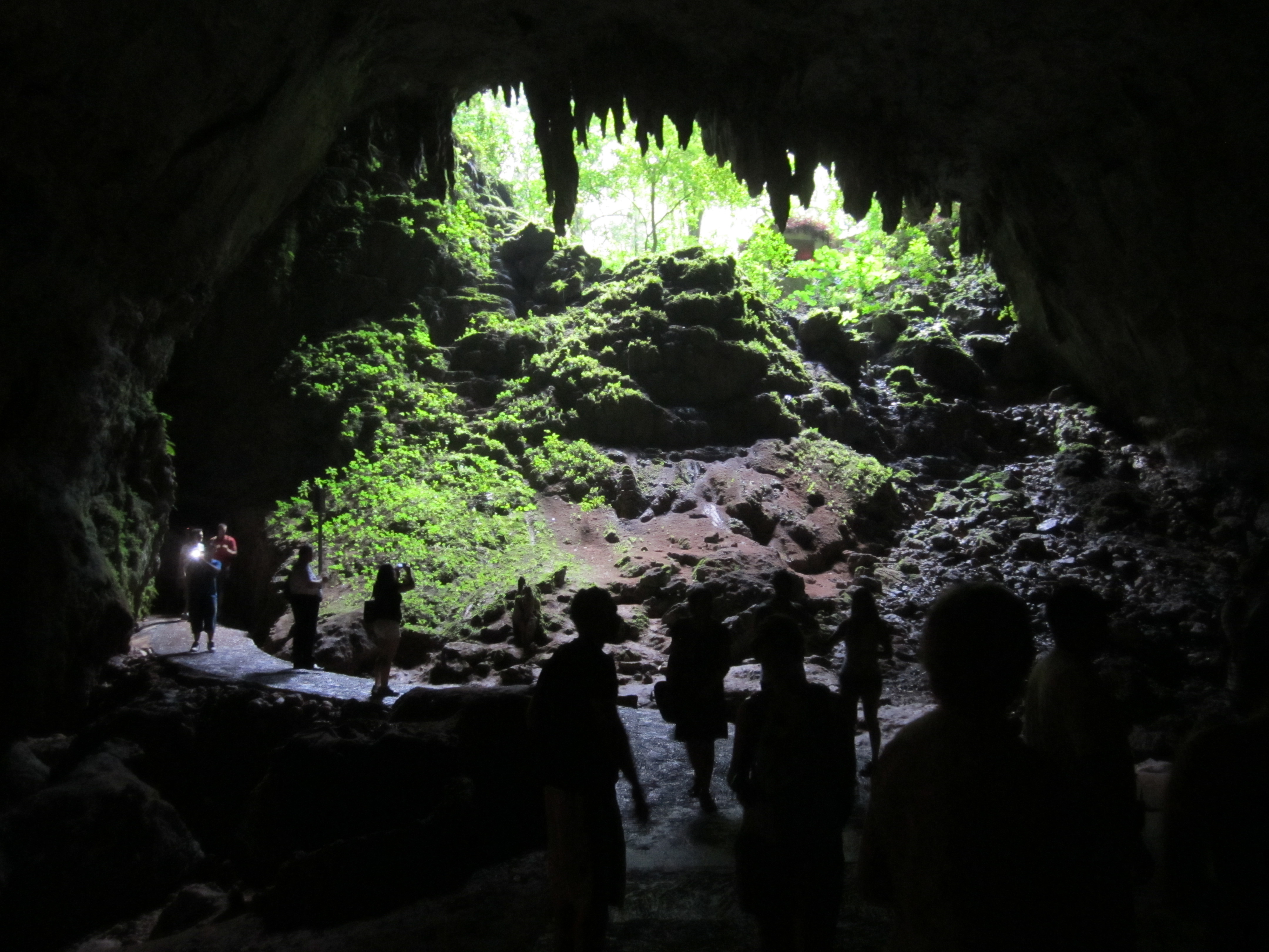 Entrance of the Cueva Clara (Bright Cave), Parque de las Cavernas del Río Camuy (Camuy River Cave Park), Puerto Rico