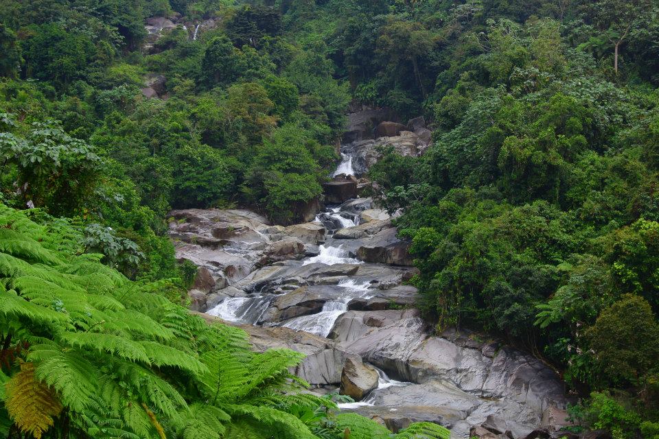 Hicacos Falls in El Yunque National Forest